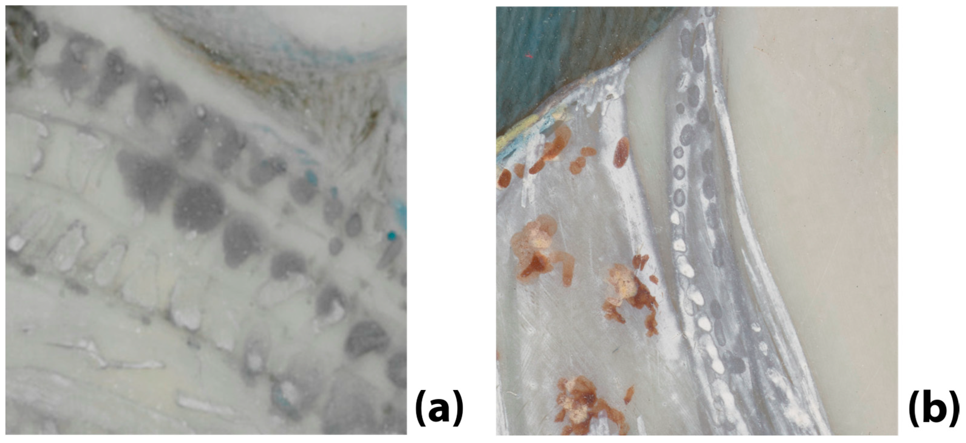 Minerals 14 00723 g004