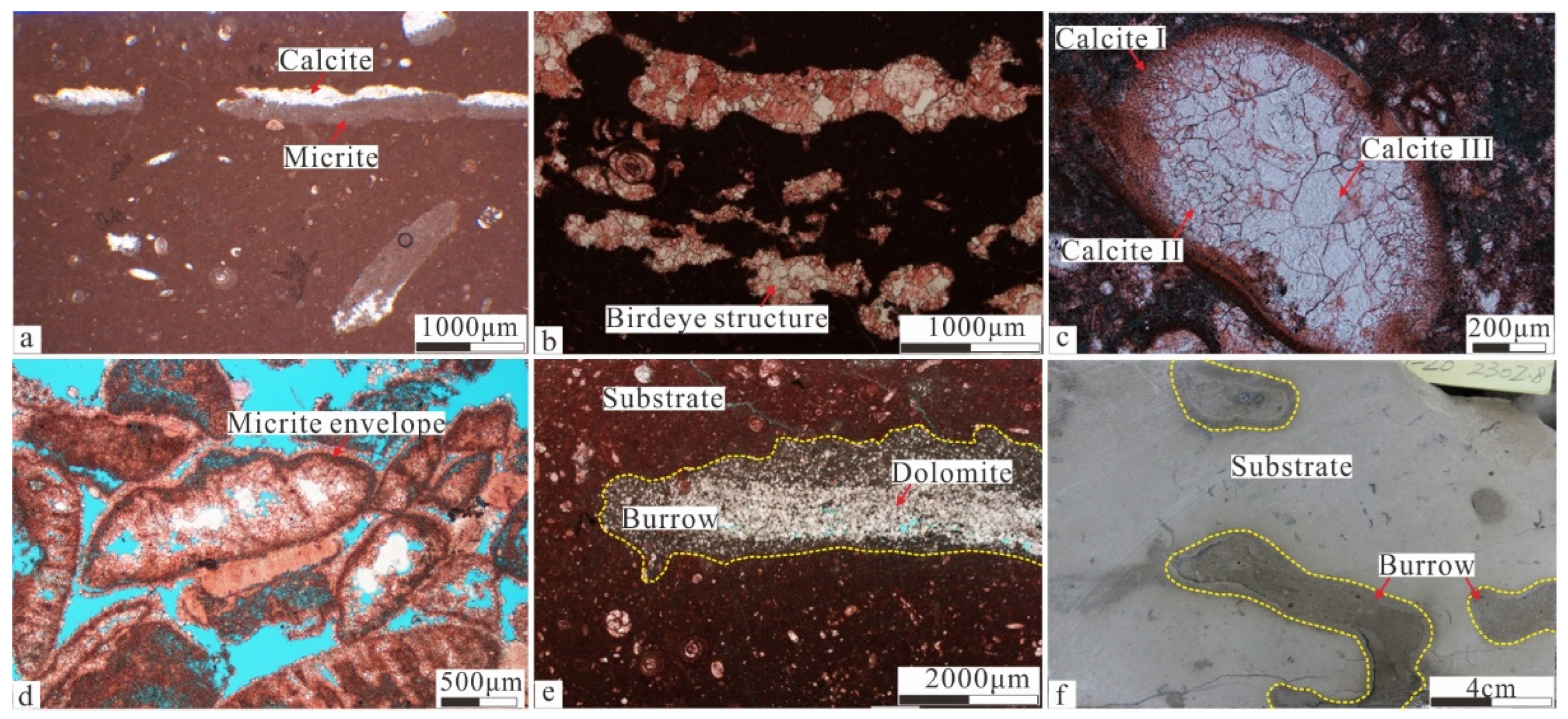 Minerals 14 00769 g004 Minerals 14 00769 g004