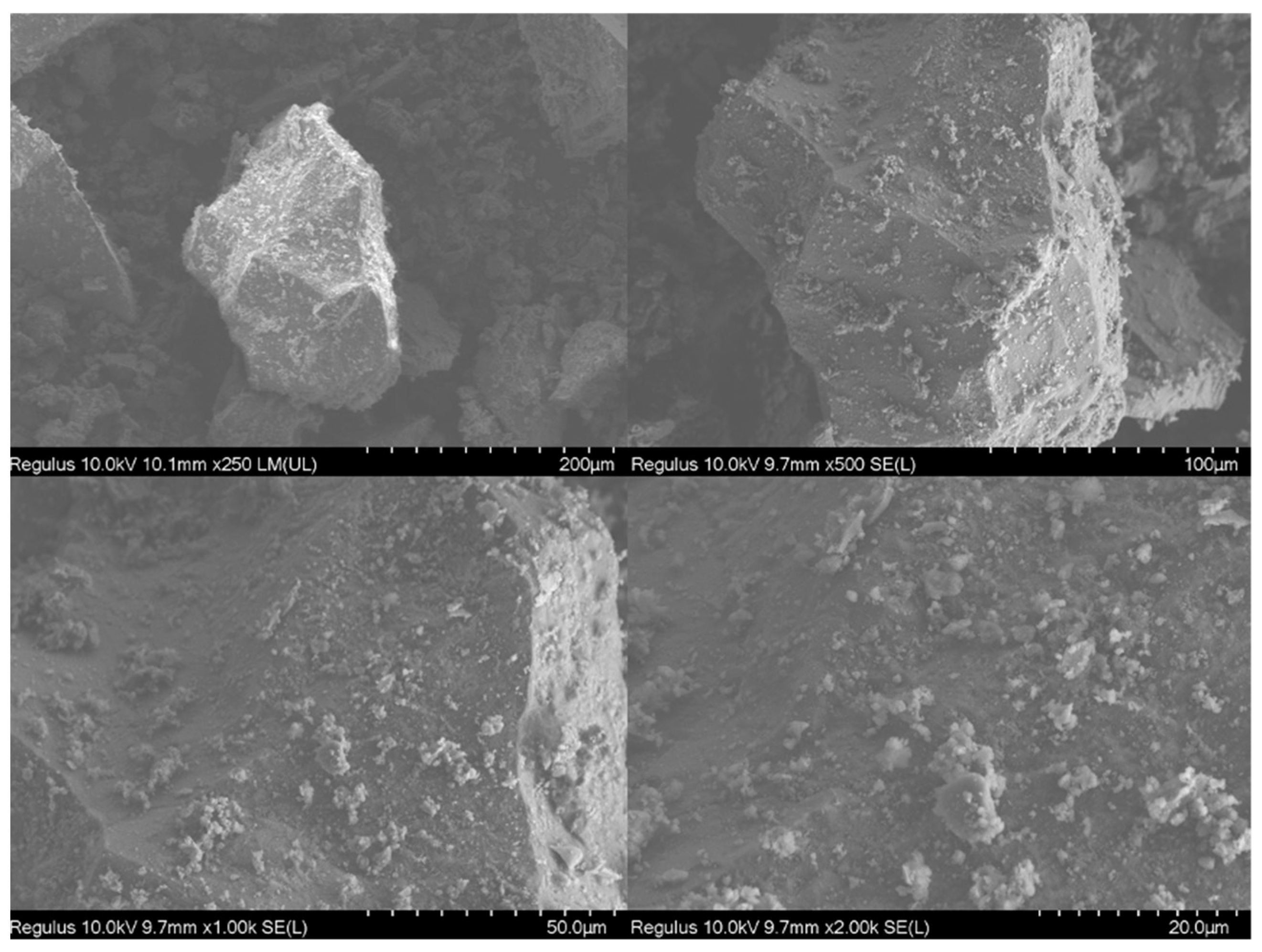 Minerals 14 00776 g015