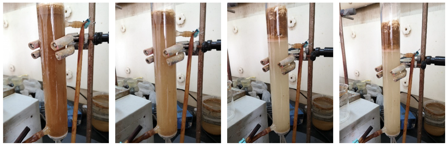 Minerals 14 00782 g005