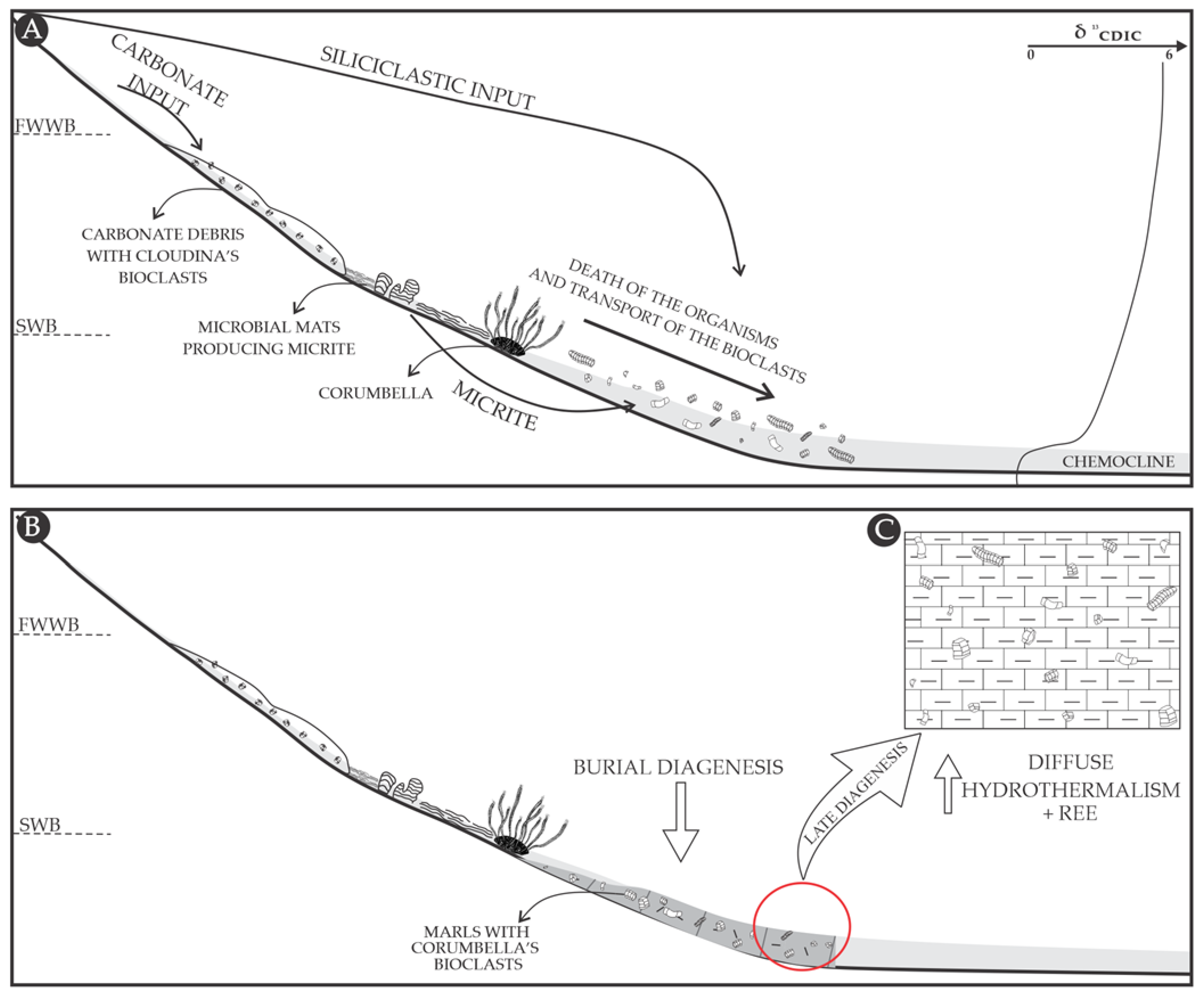 Minerals 14 00784 g008