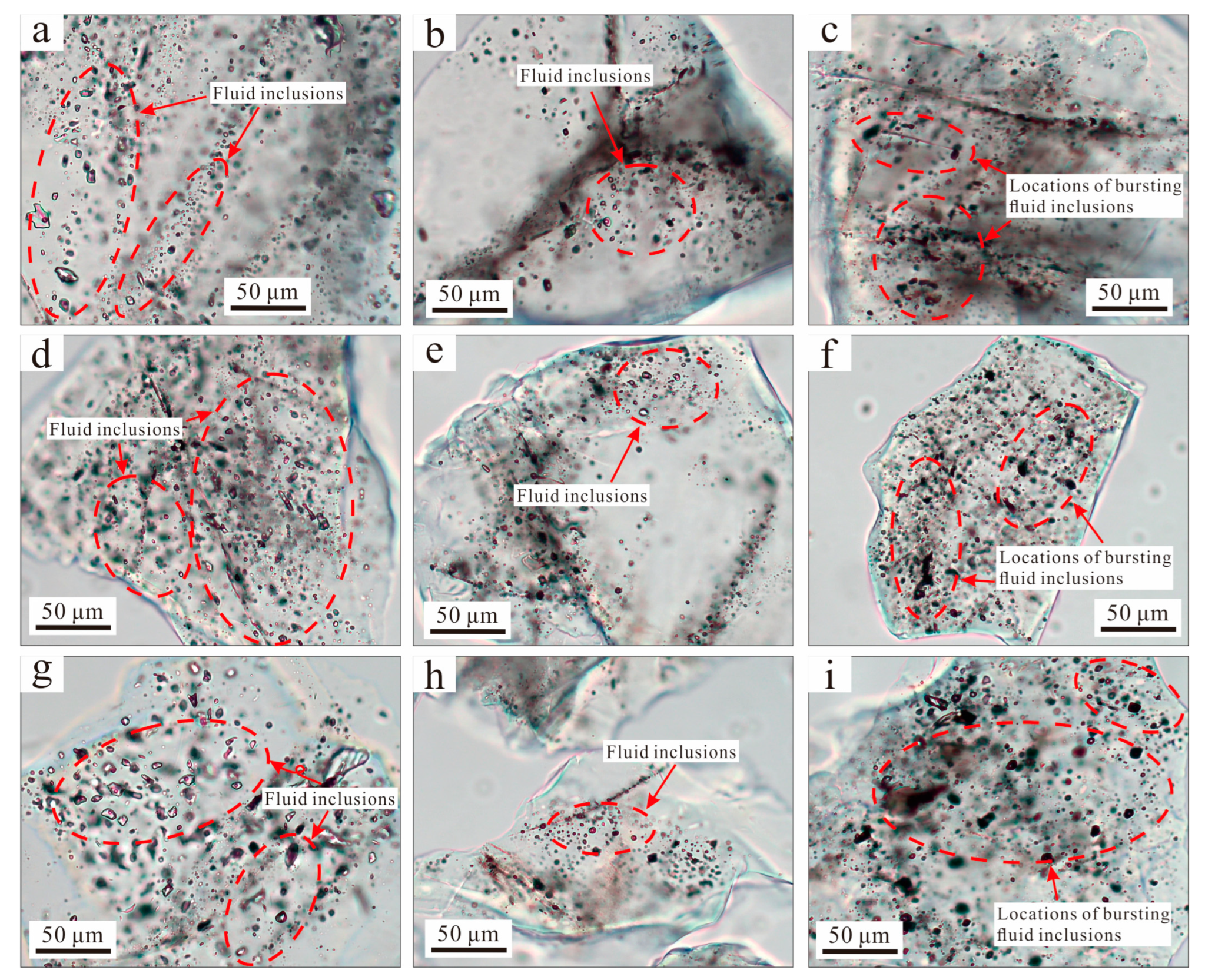 Minerals 14 00794 g007