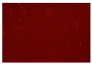 Minerals 14 00797 i020