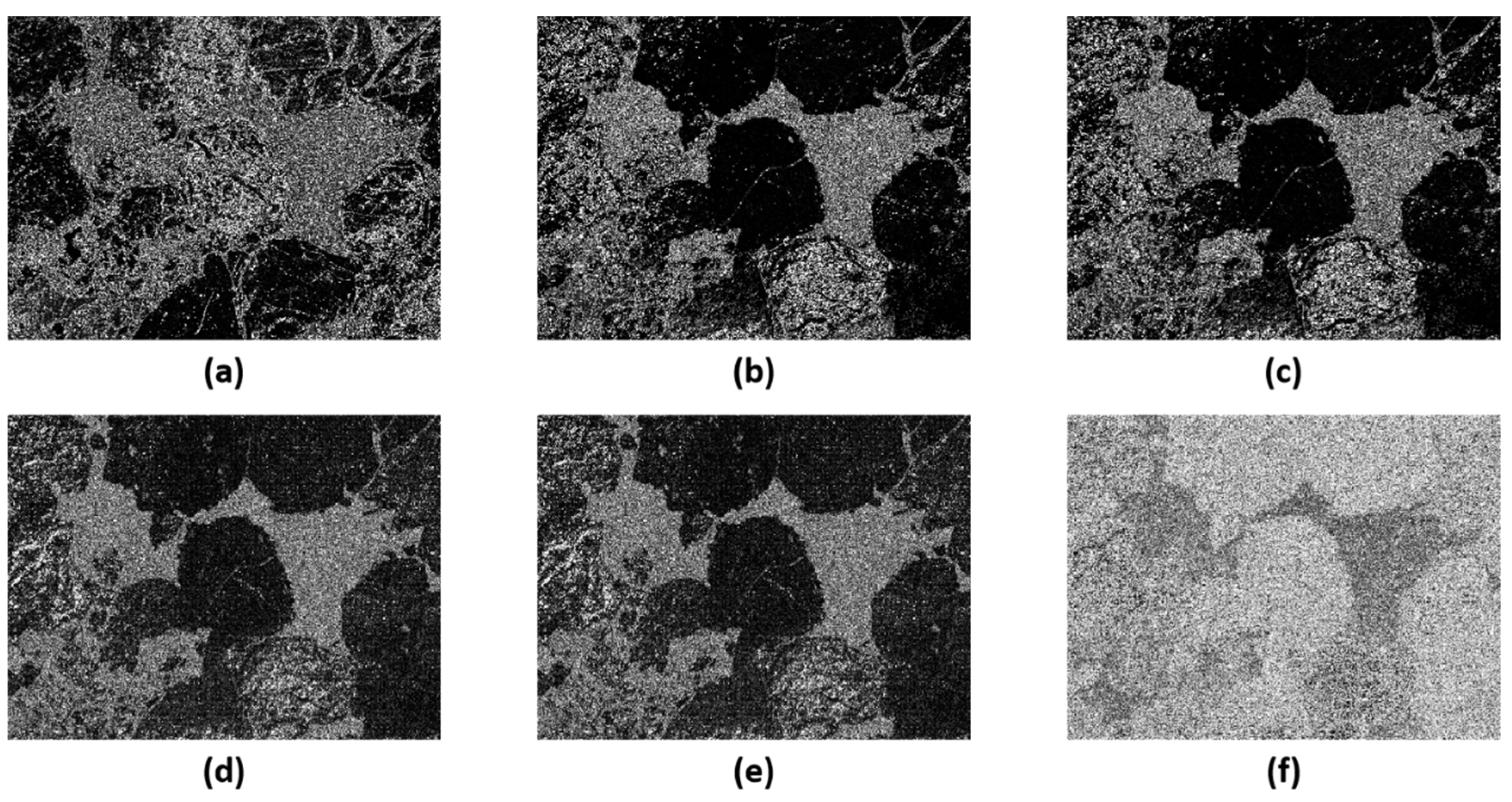 Minerals 14 00799 g006