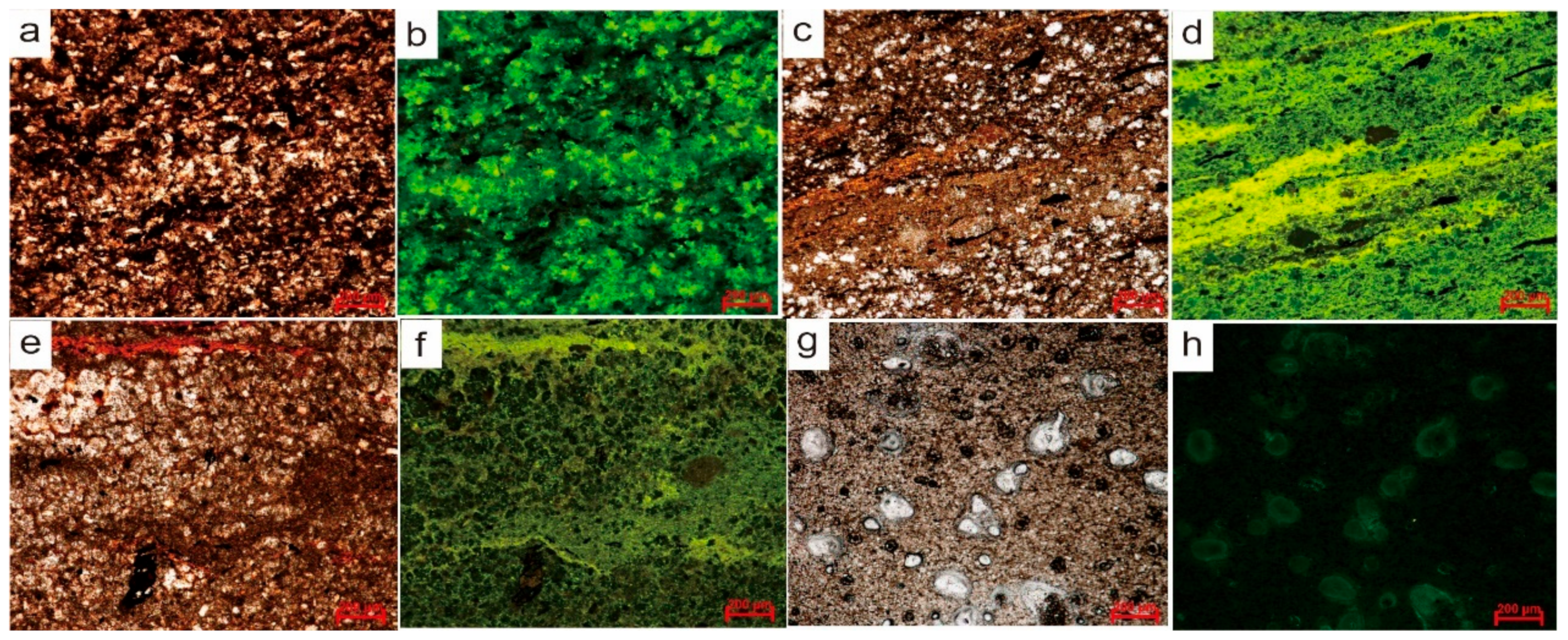 Minerals 14 00810 g009
