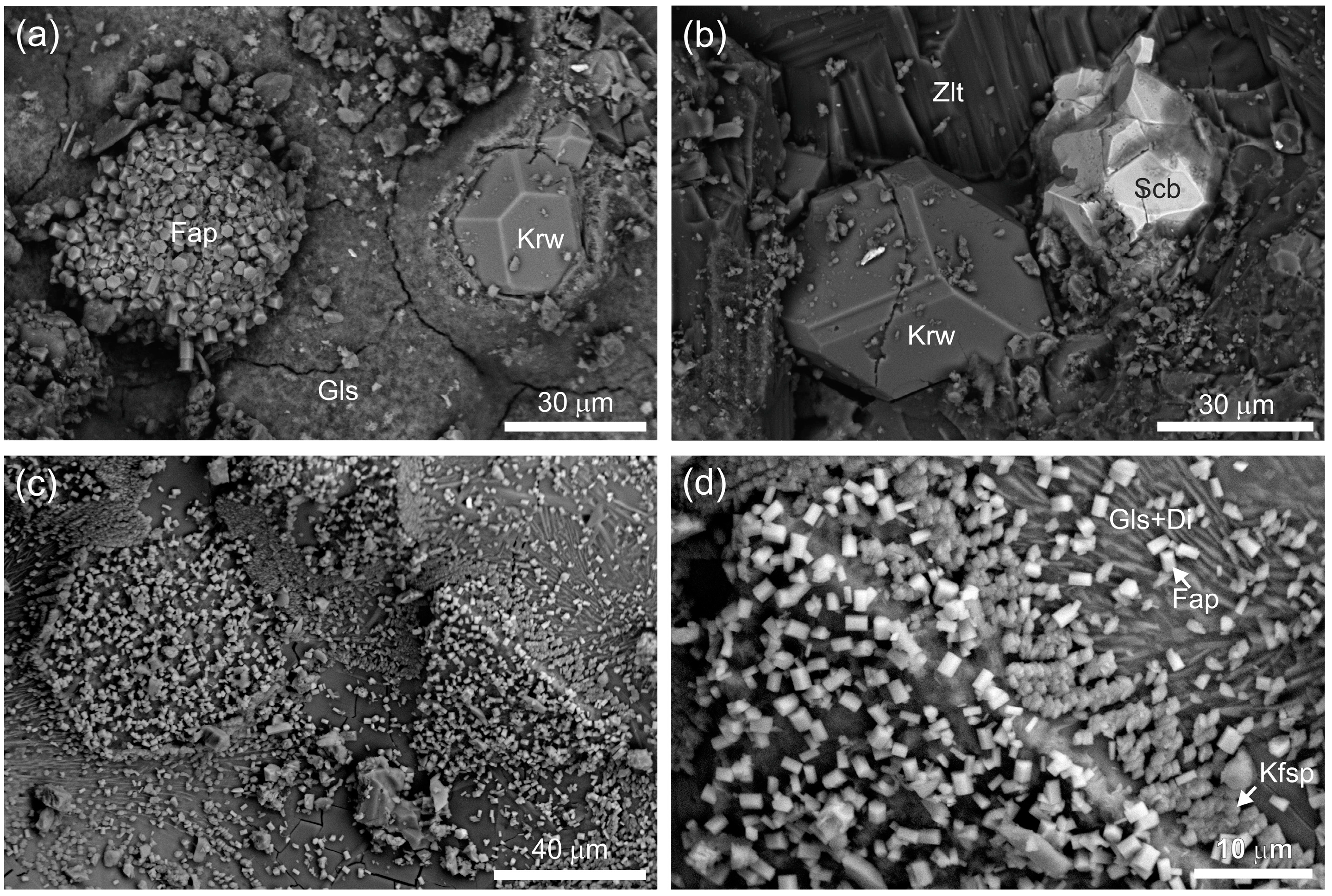 Minerals 14 00825 g007