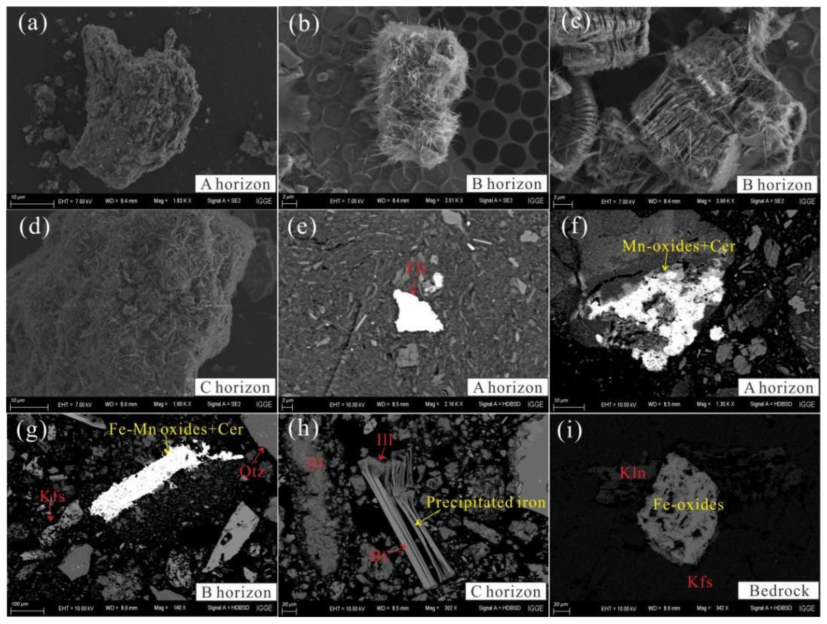 Minerals 14 00857 g008