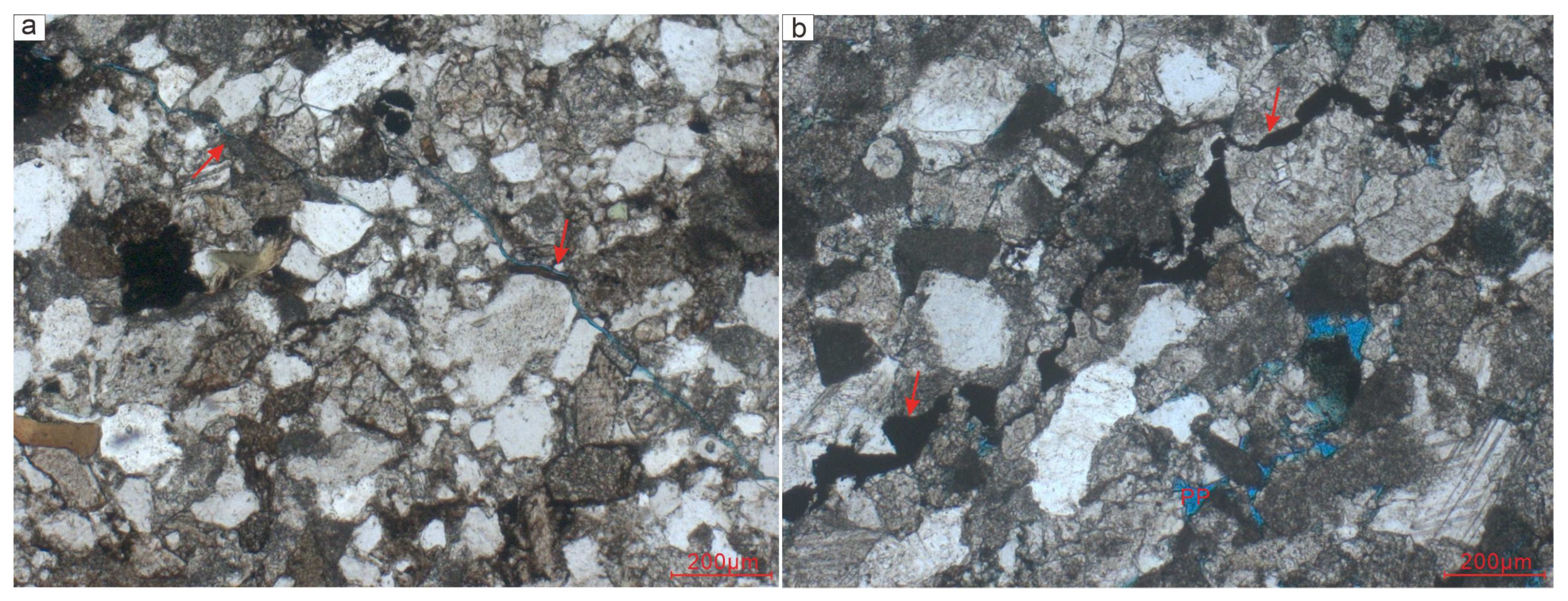 Minerals 14 00872 g013