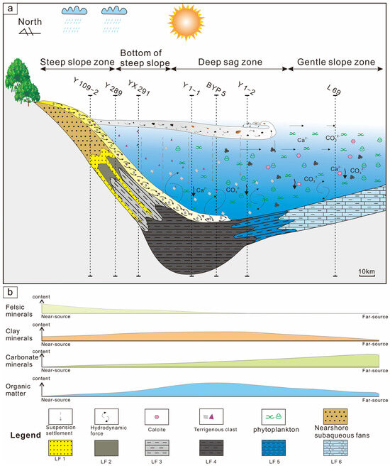 Distribution Characteristics and Hydrocarbon Significance of