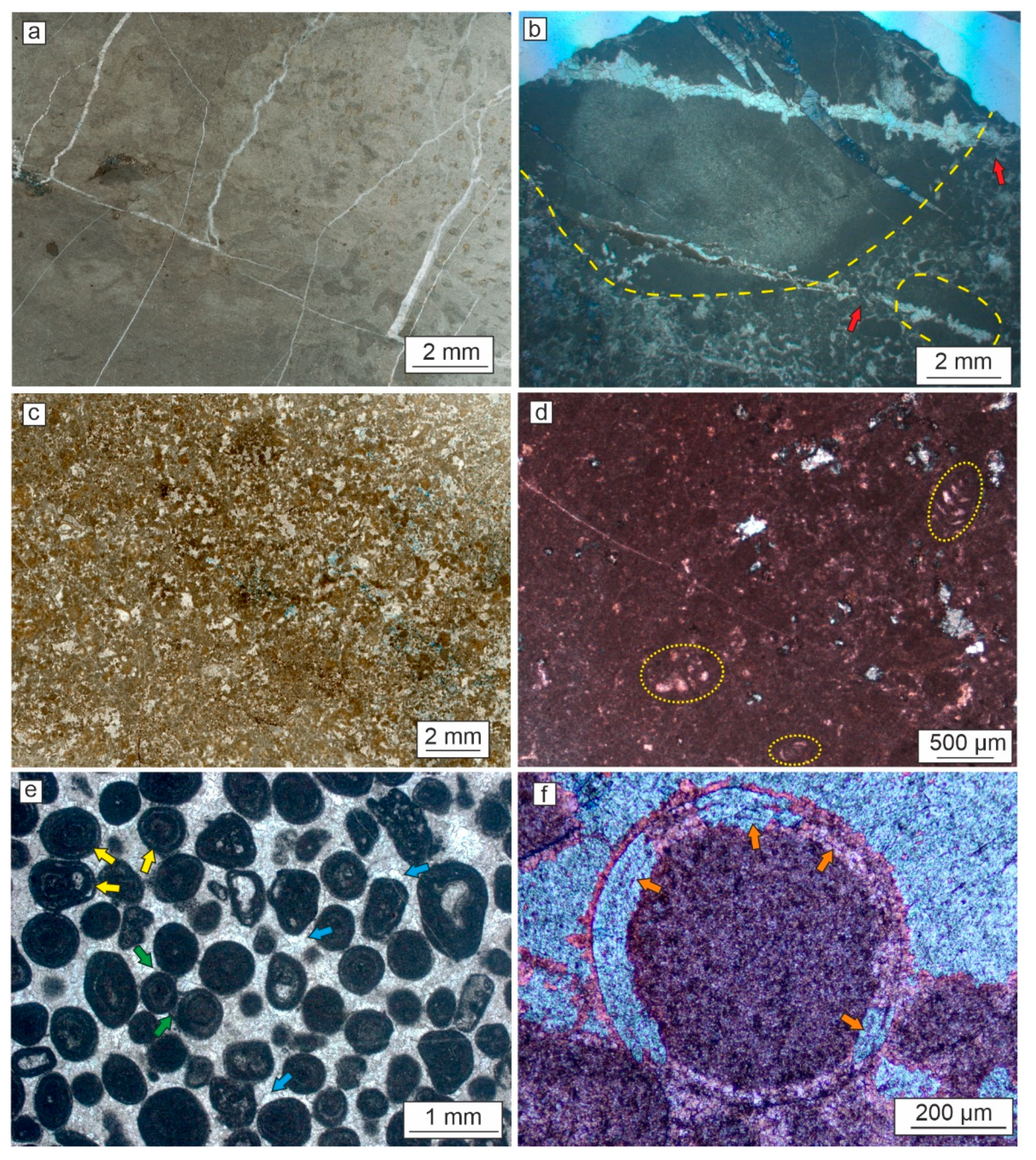 Minerals 14 00908 g010