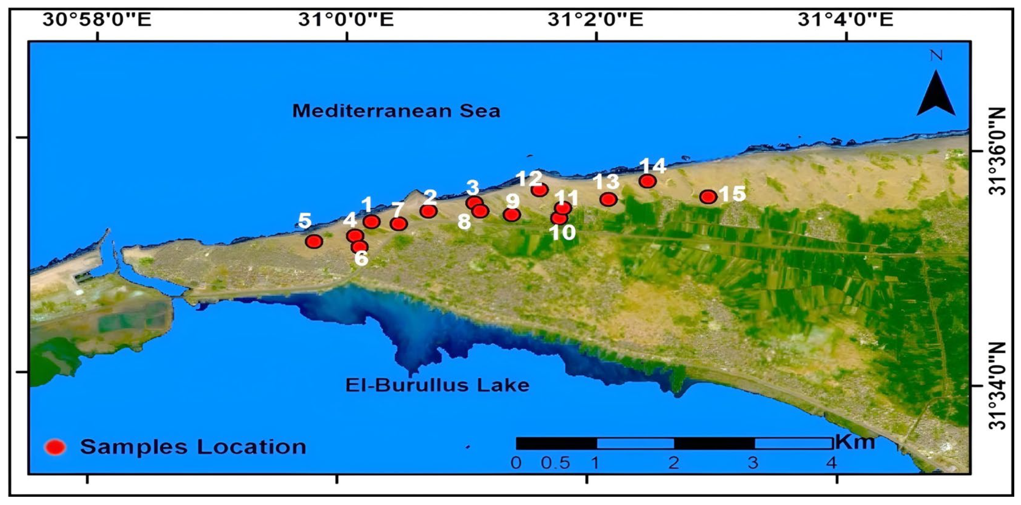 Minerals 14 00931 g002
