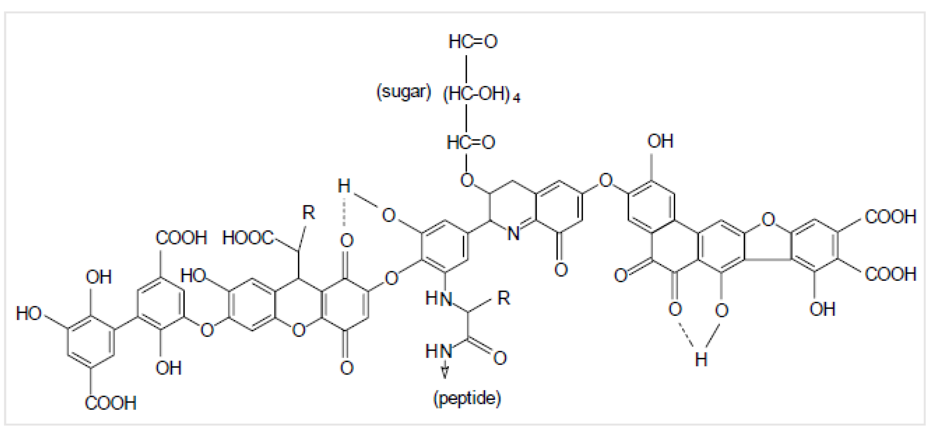 Minerals 14 00947 g001