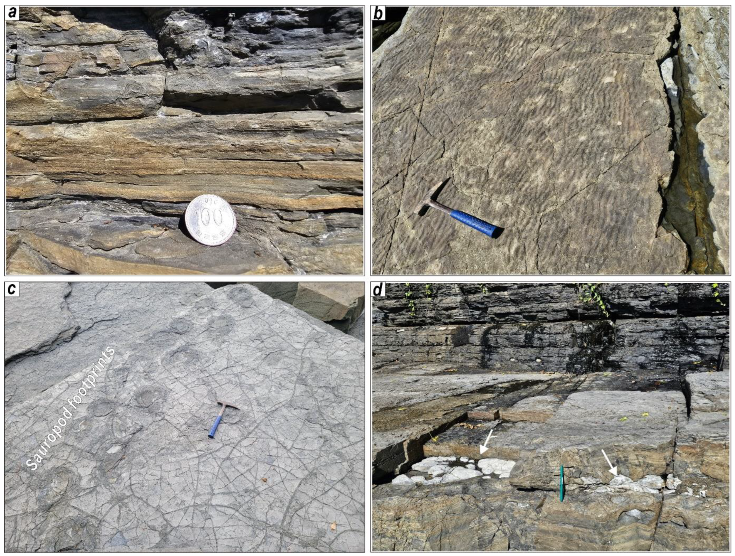 Minerals 14 00951 g004