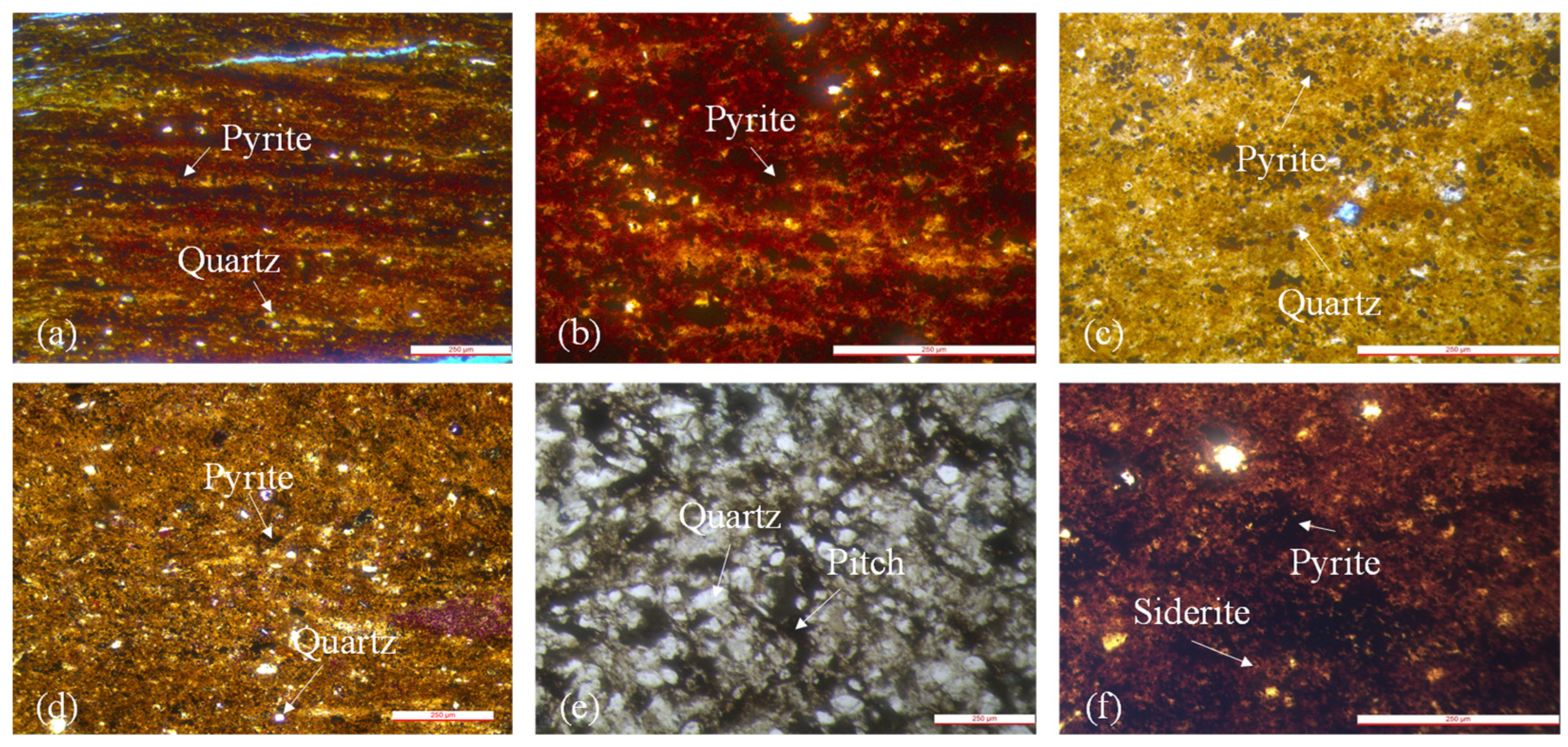 Minerals 14 00958 g012