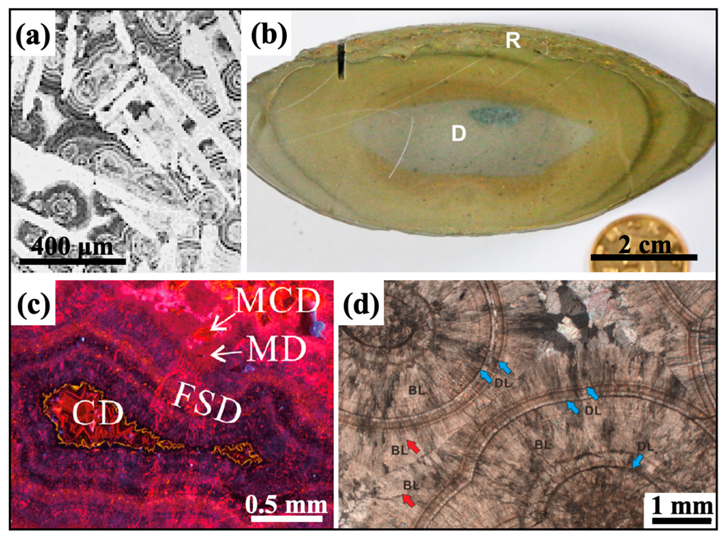 Minerals 14 00962 g002