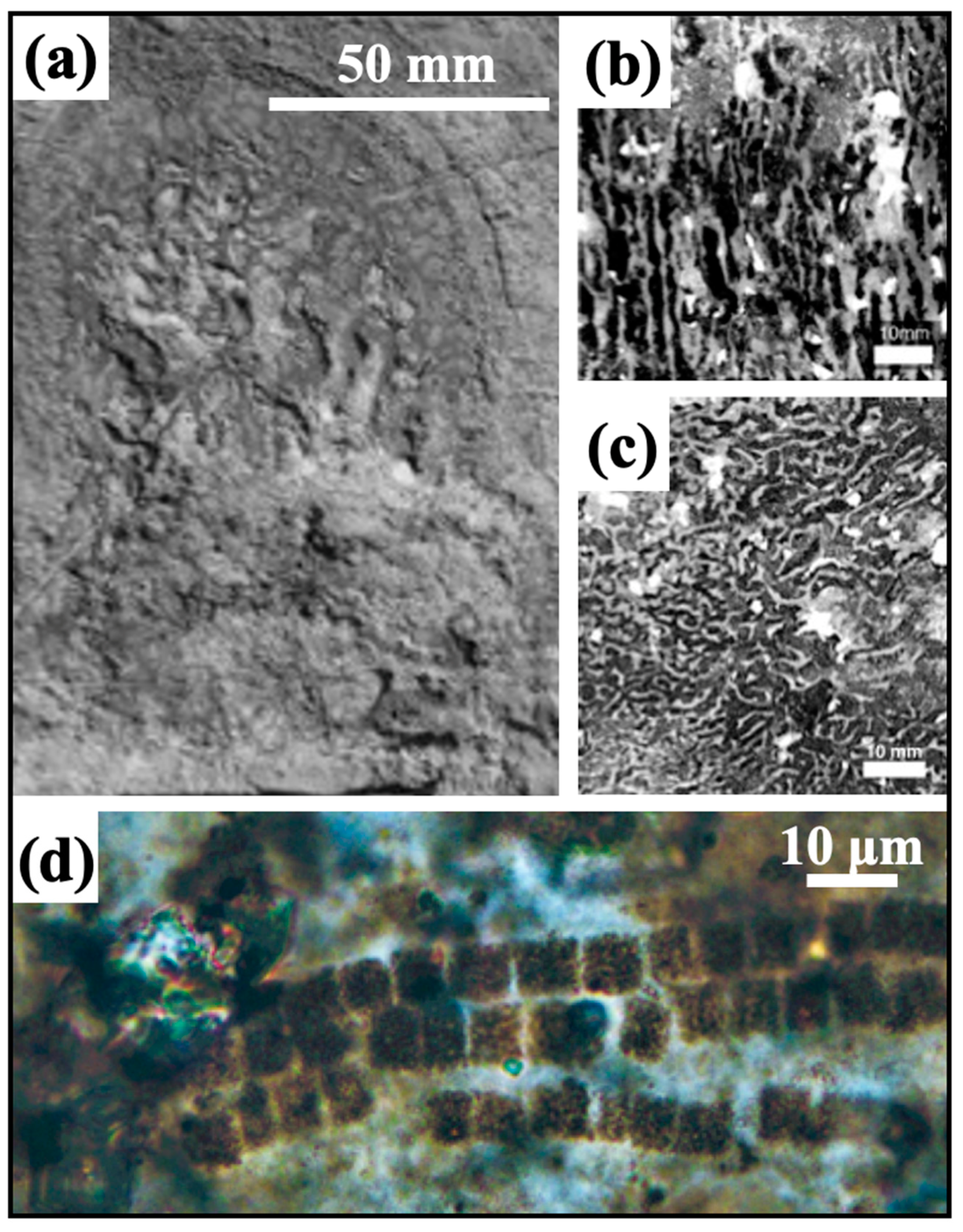Minerals 14 00962 g003