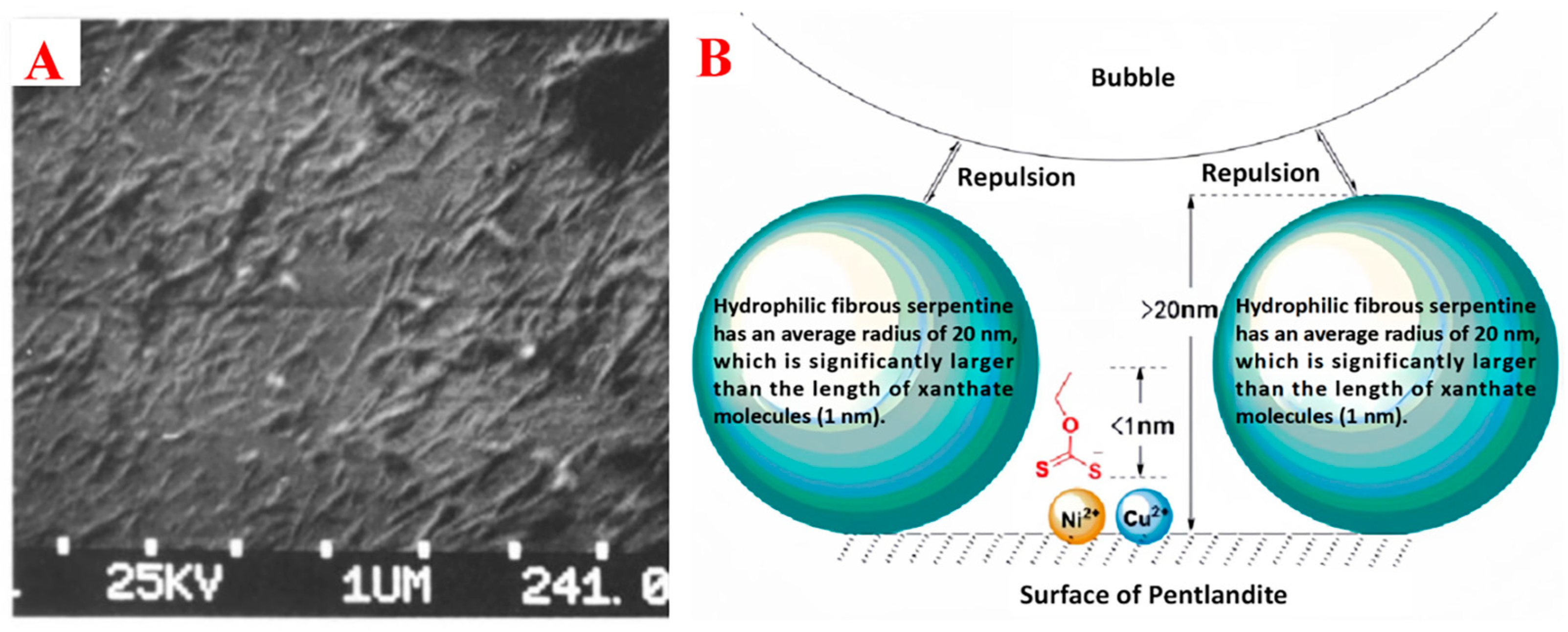 Minerals 14 00965 g005