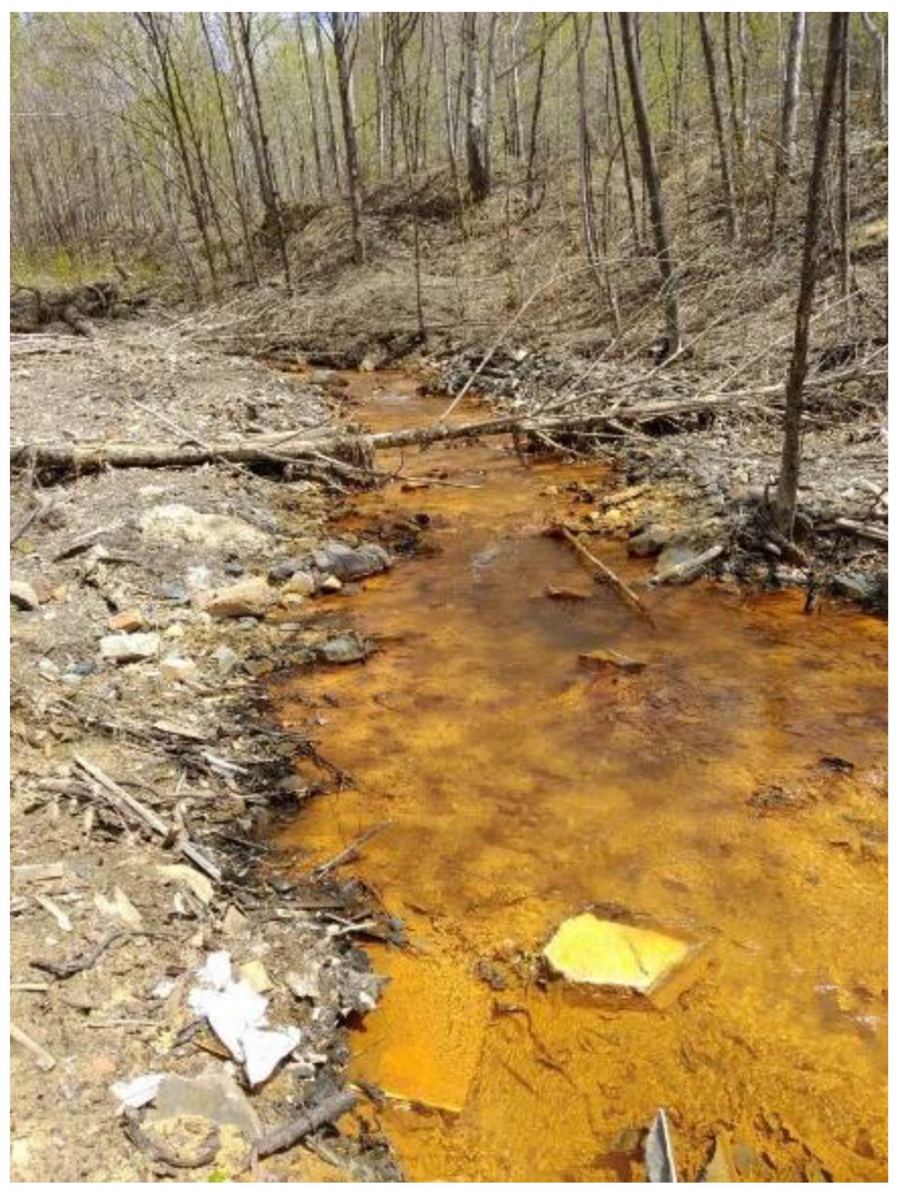 Minerals 14 00976 g004