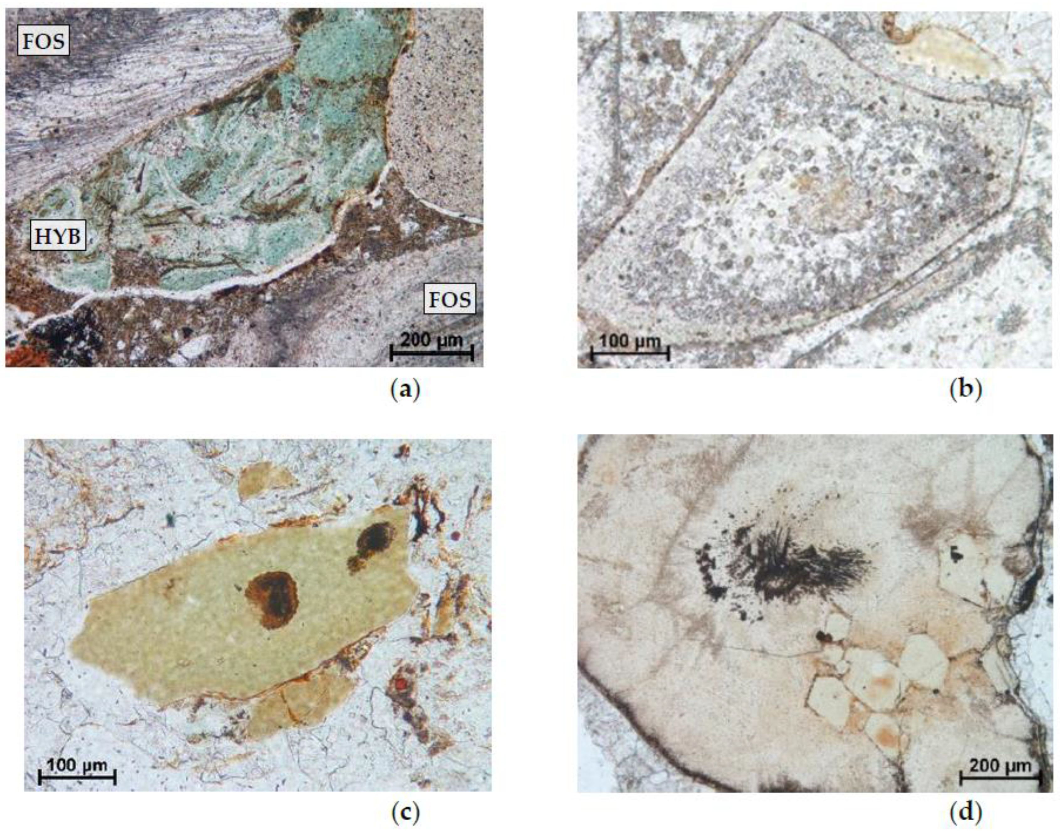 Minerals 14 00983 g004