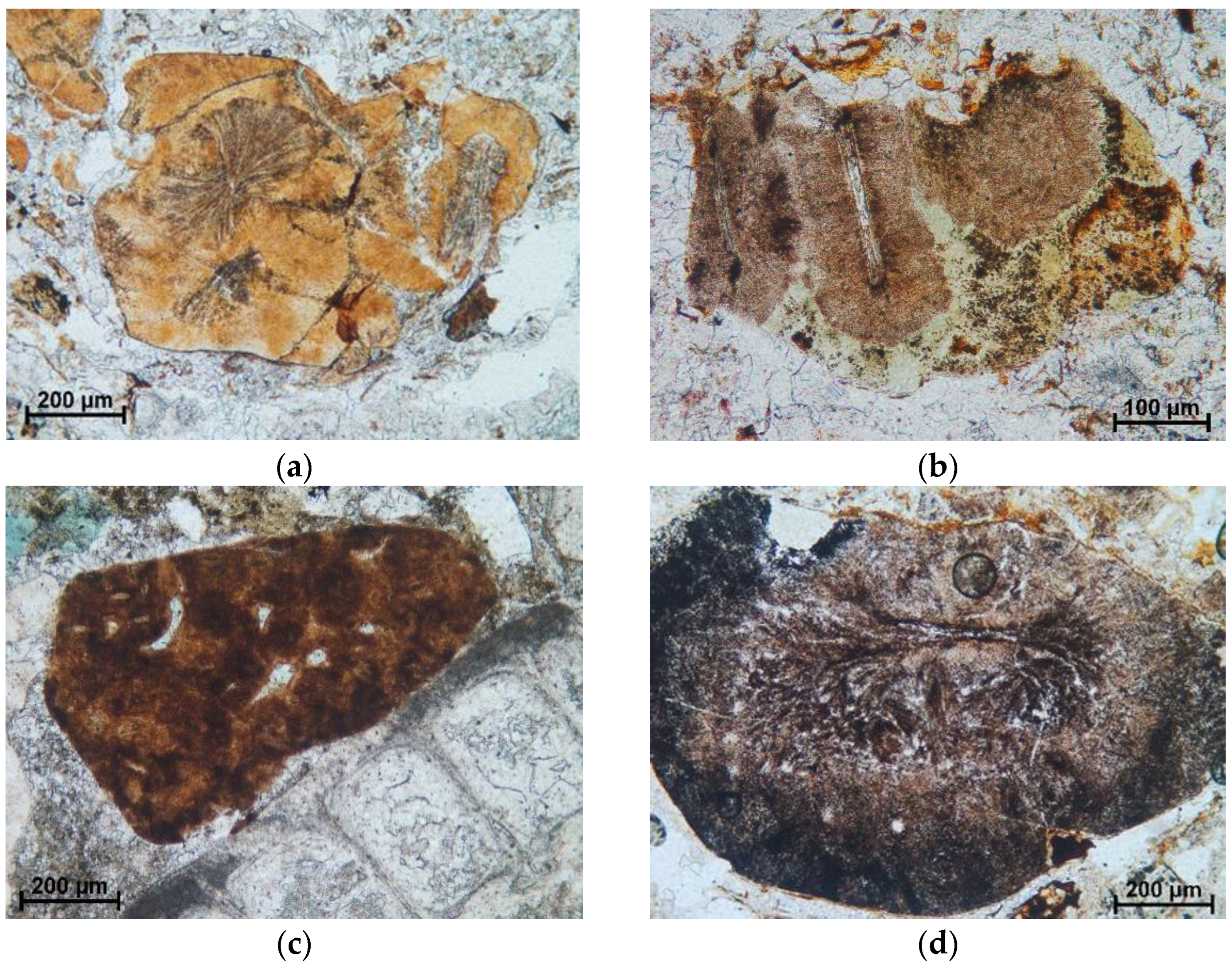 Minerals 14 00983 g005