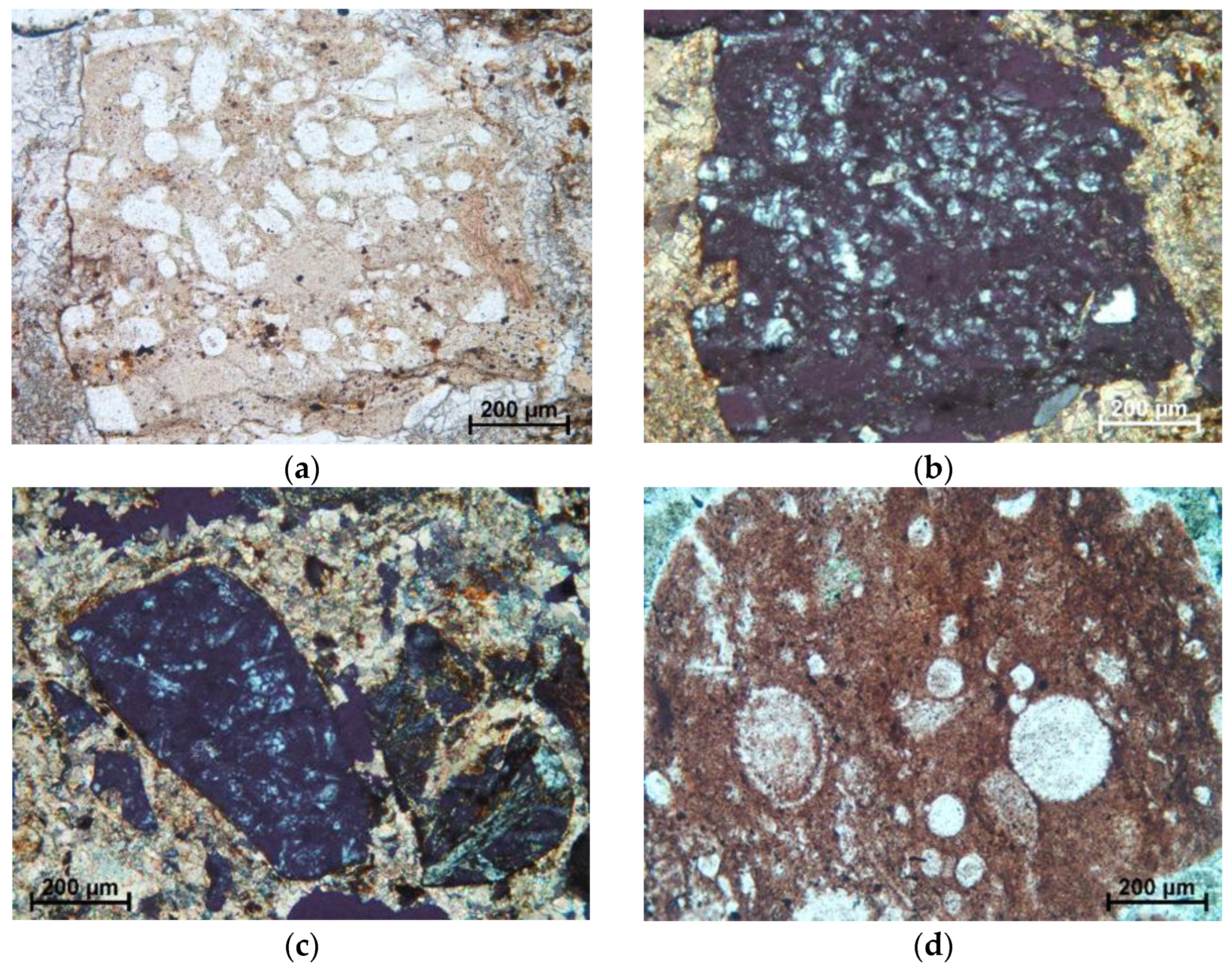 Minerals 14 00983 g012