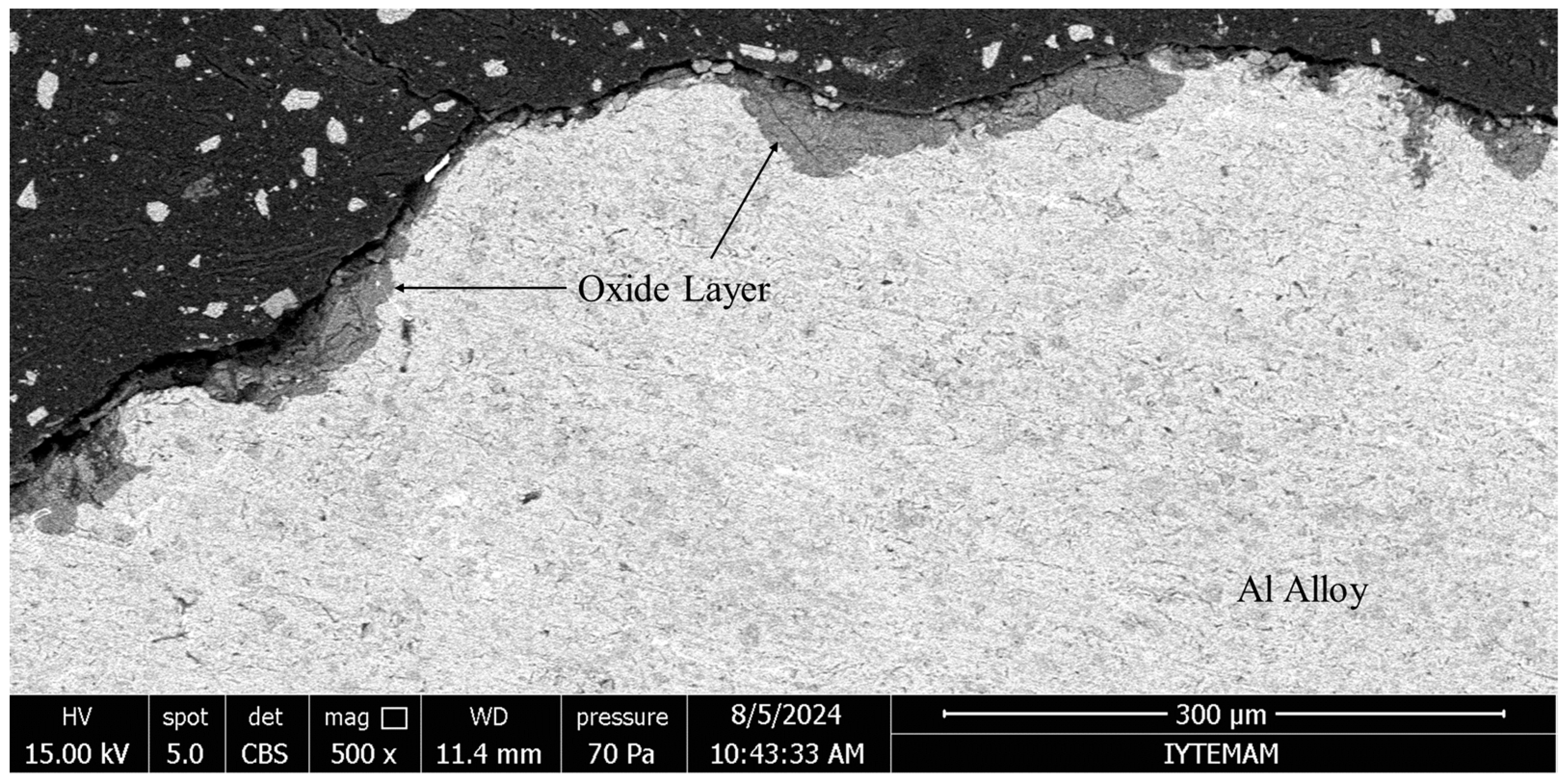 Minerals 14 01006 g009