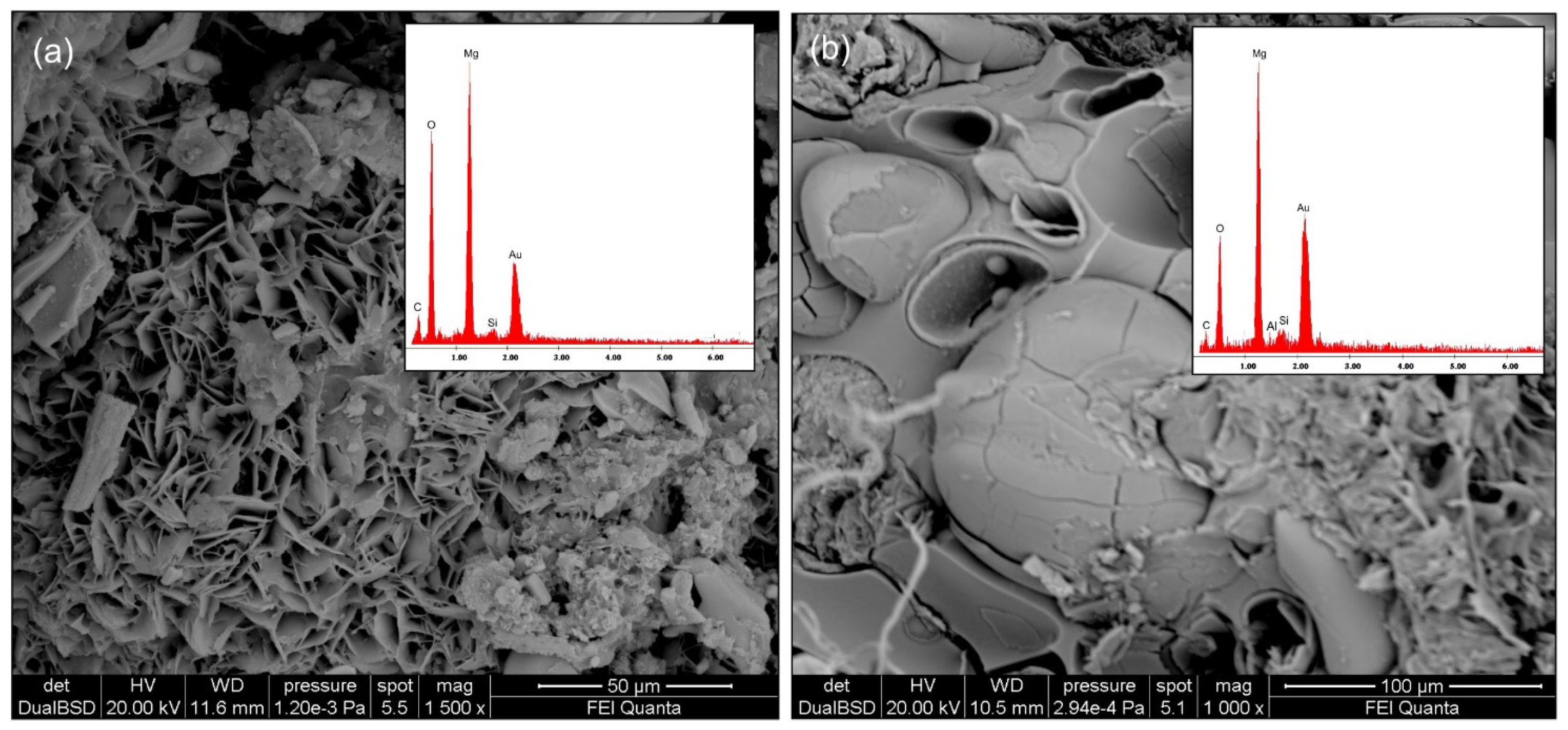Minerals 14 01013 g005