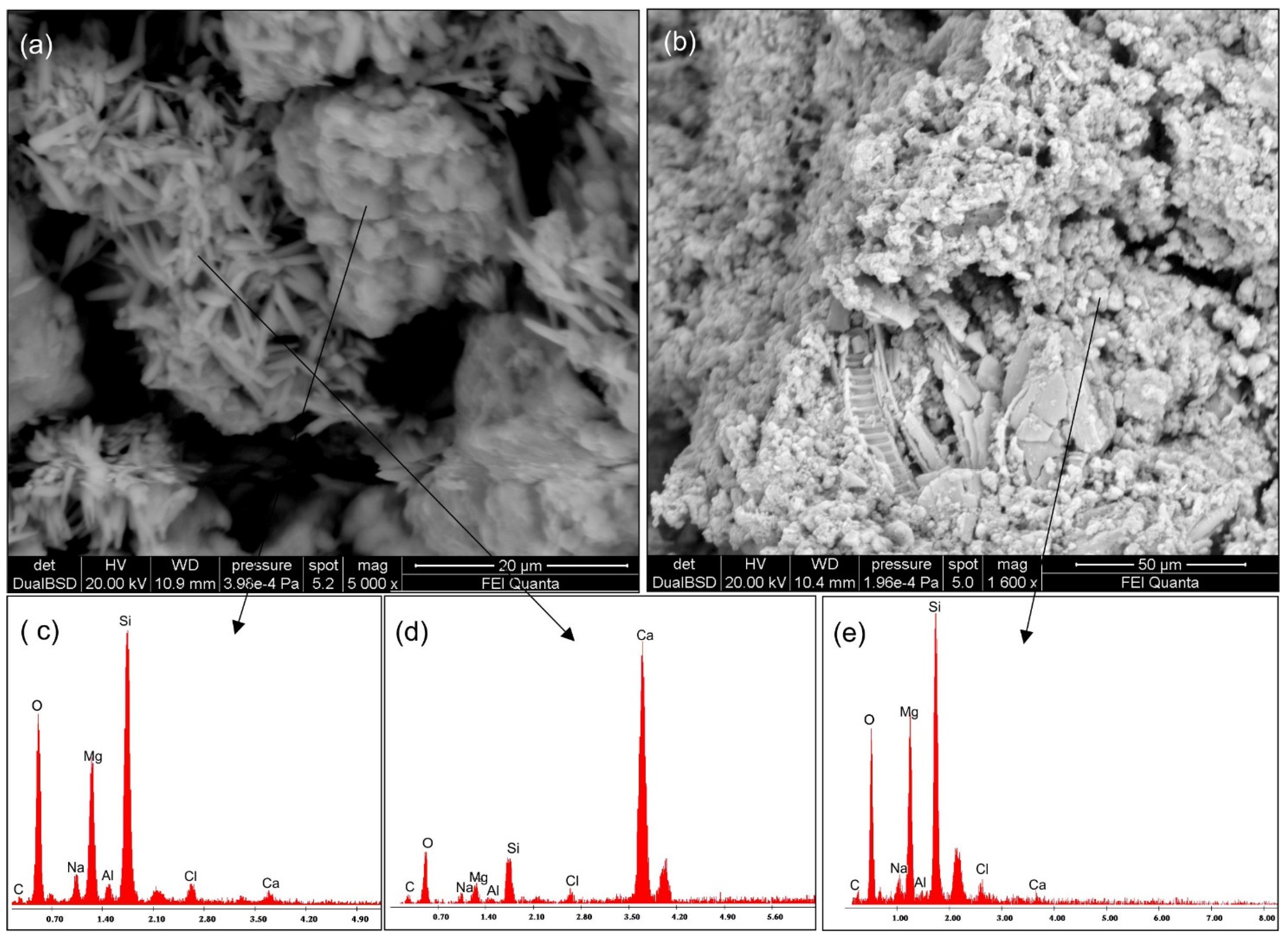 Minerals 14 01013 g006