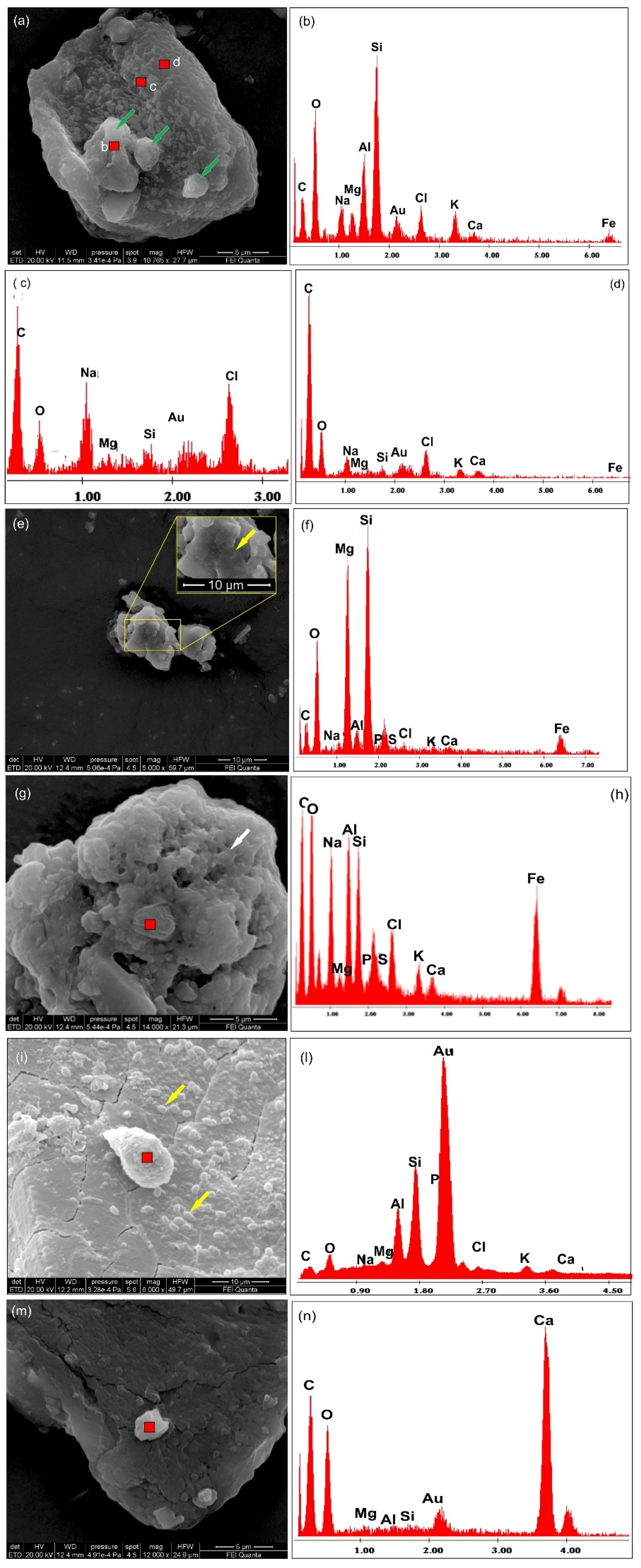 Minerals 14 01013 g009