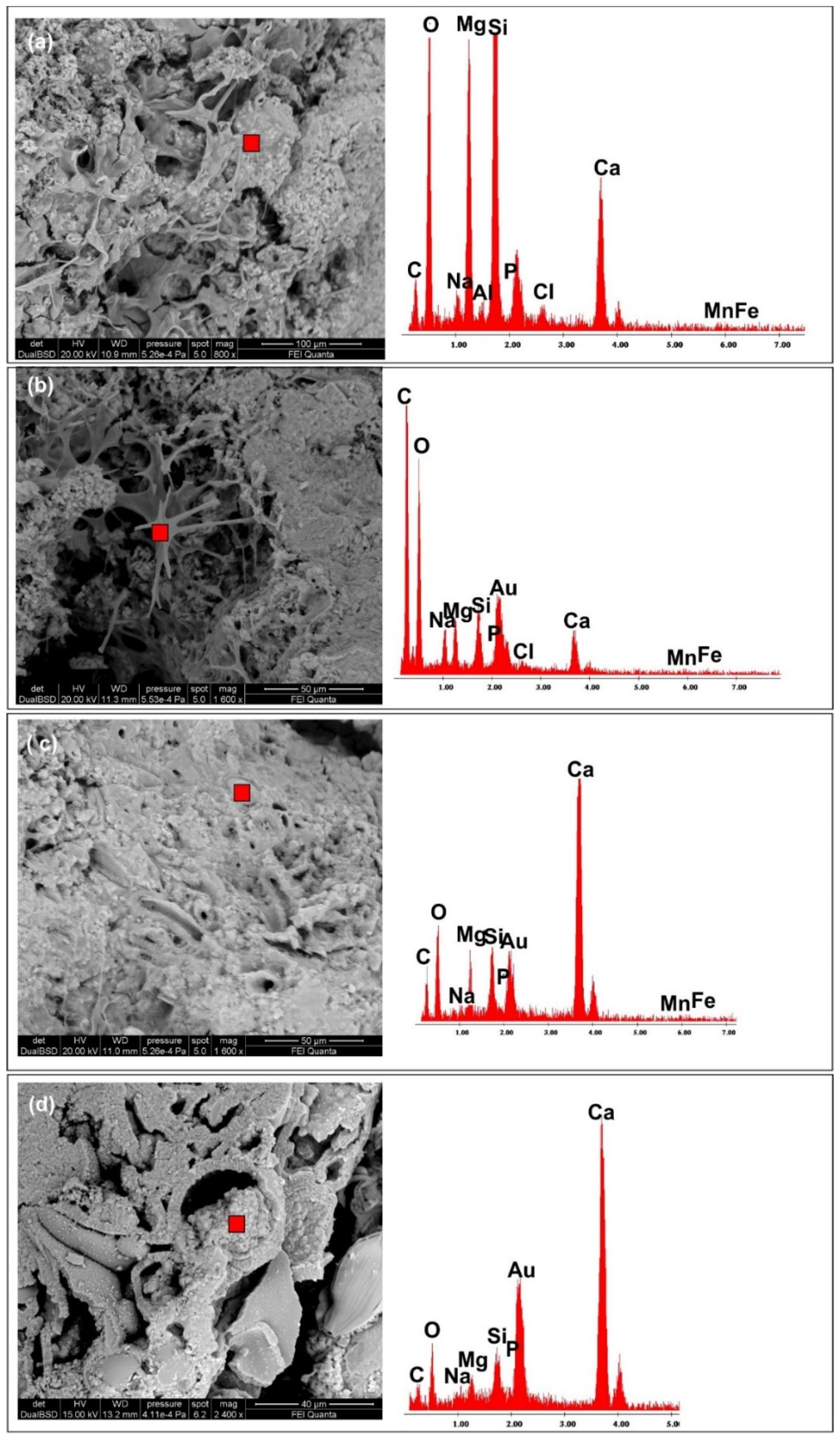 Minerals 14 01013 g011