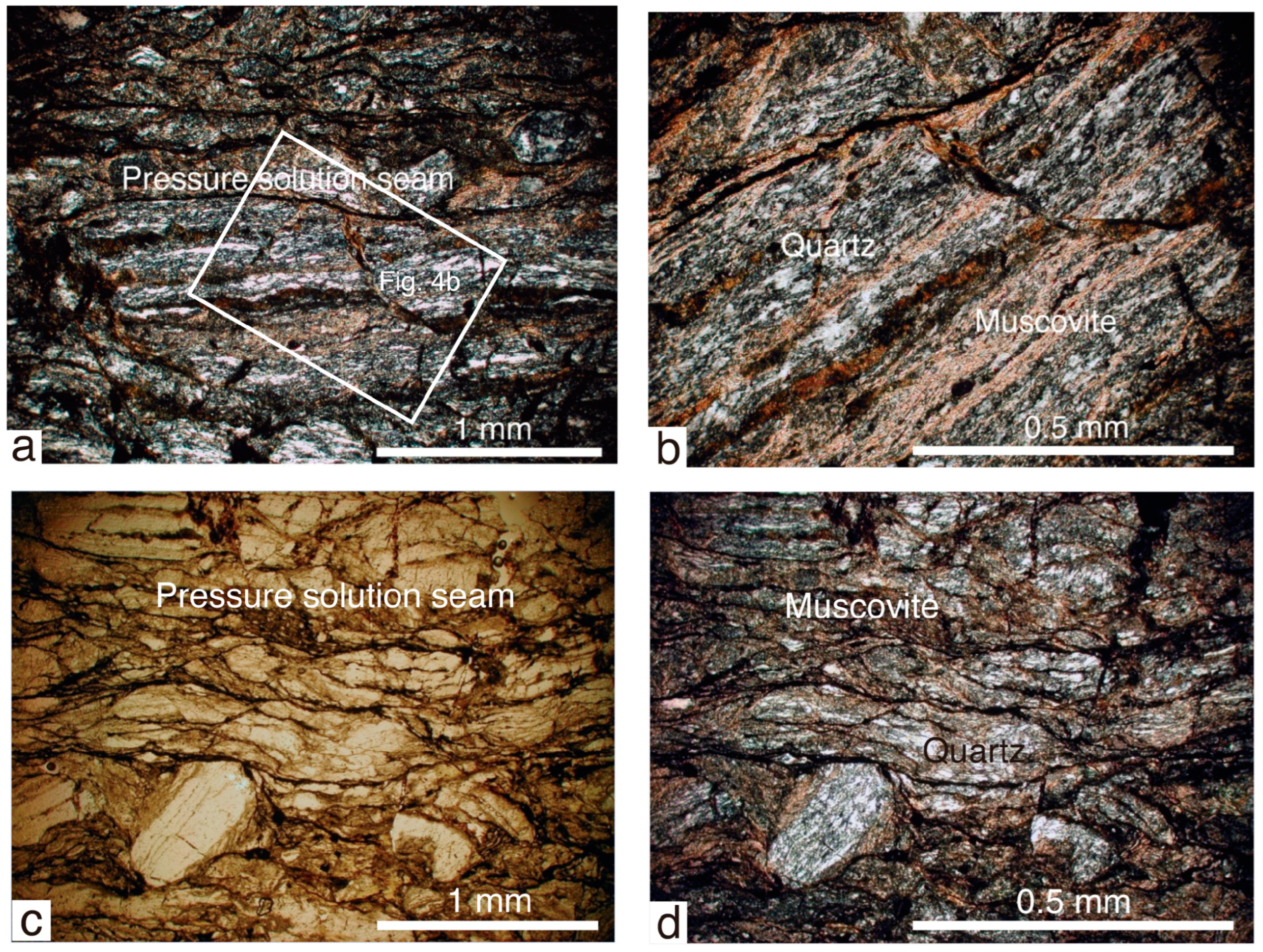Minerals 14 01018 g004