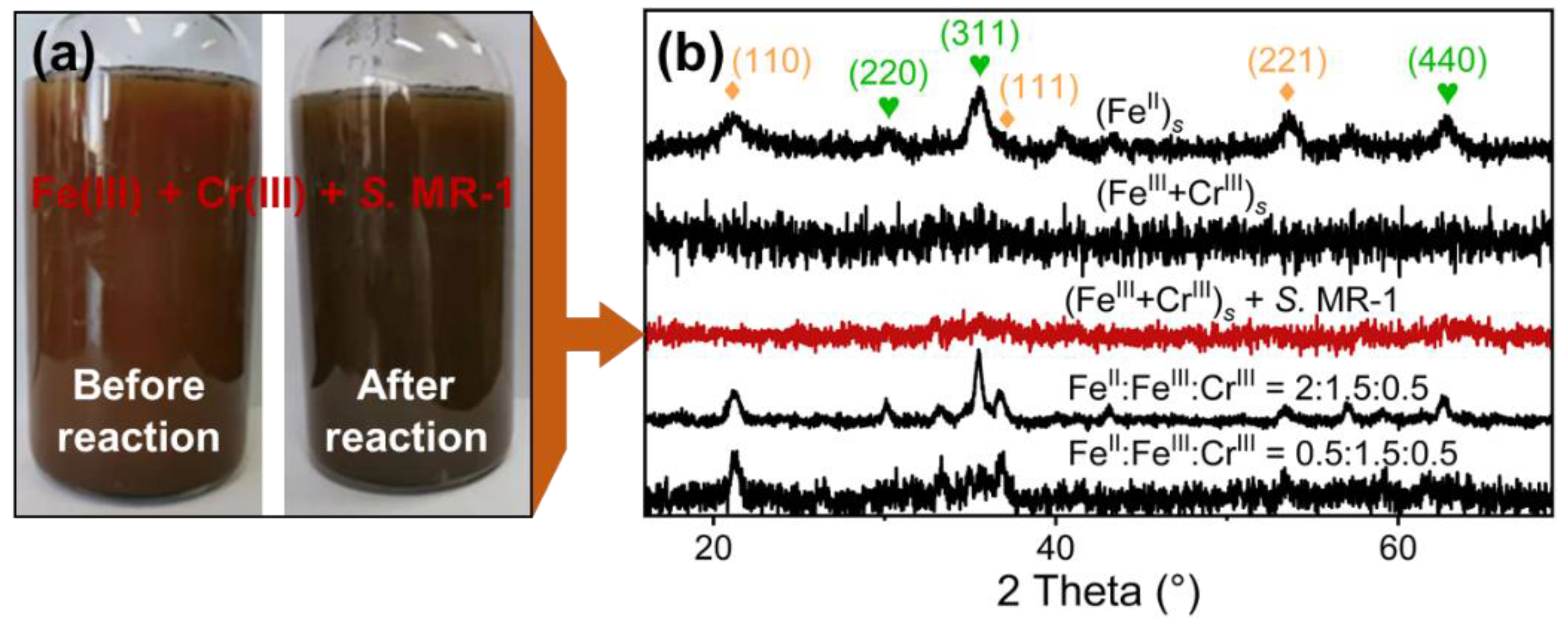 Minerals 14 01024 g001