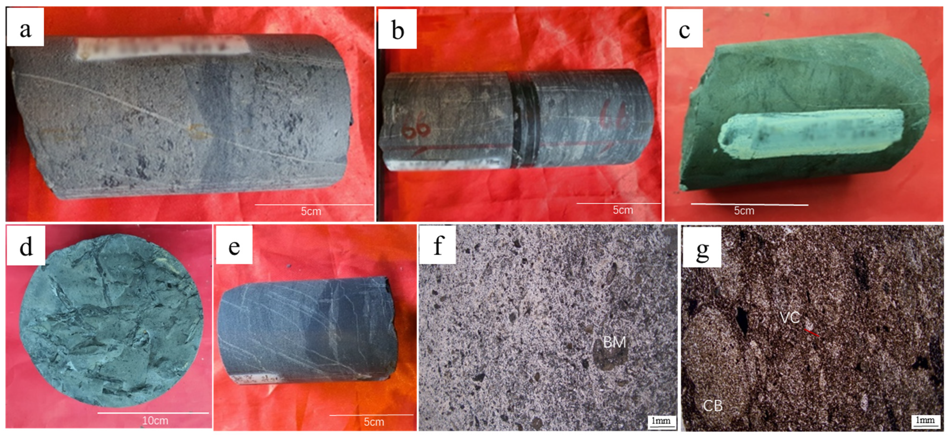 Minerals 14 01034 g003