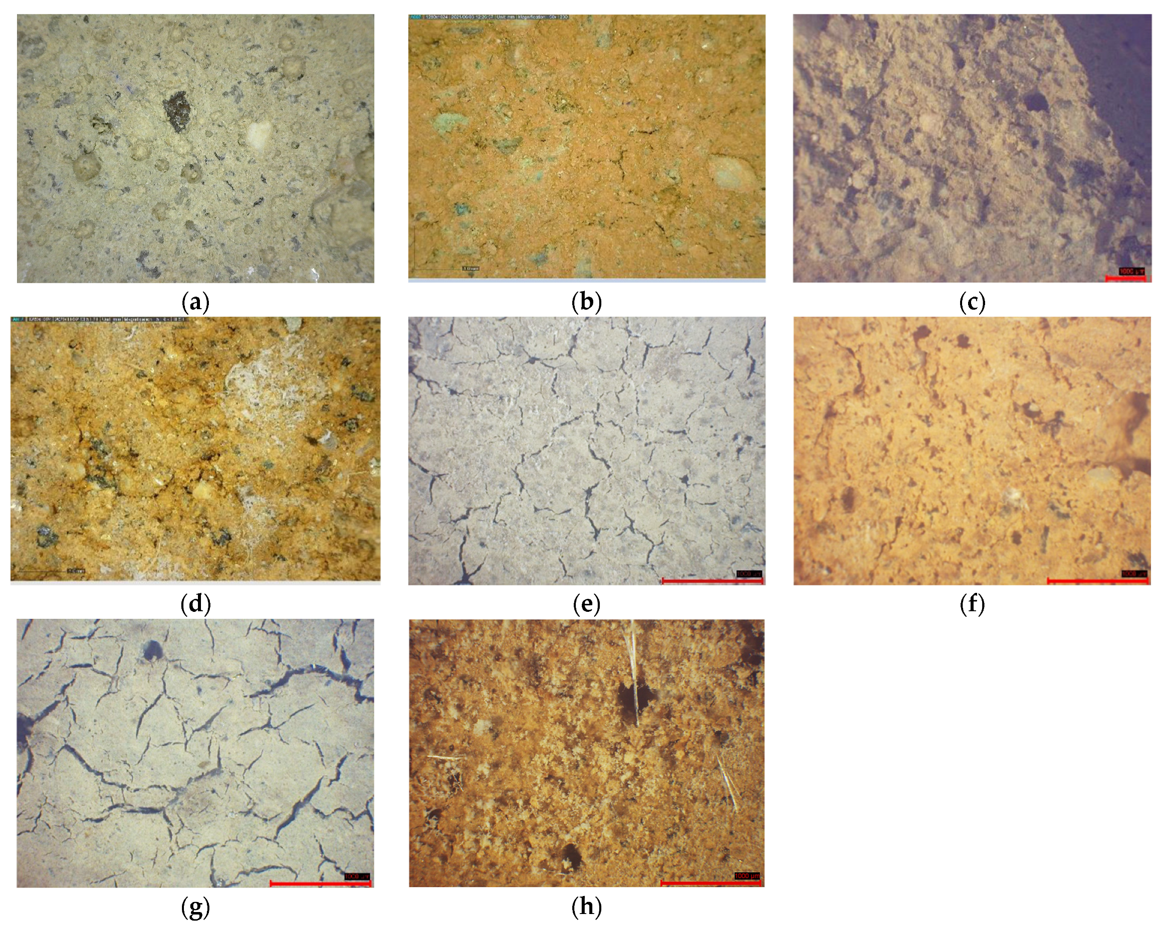 Minerals 14 01035 g005