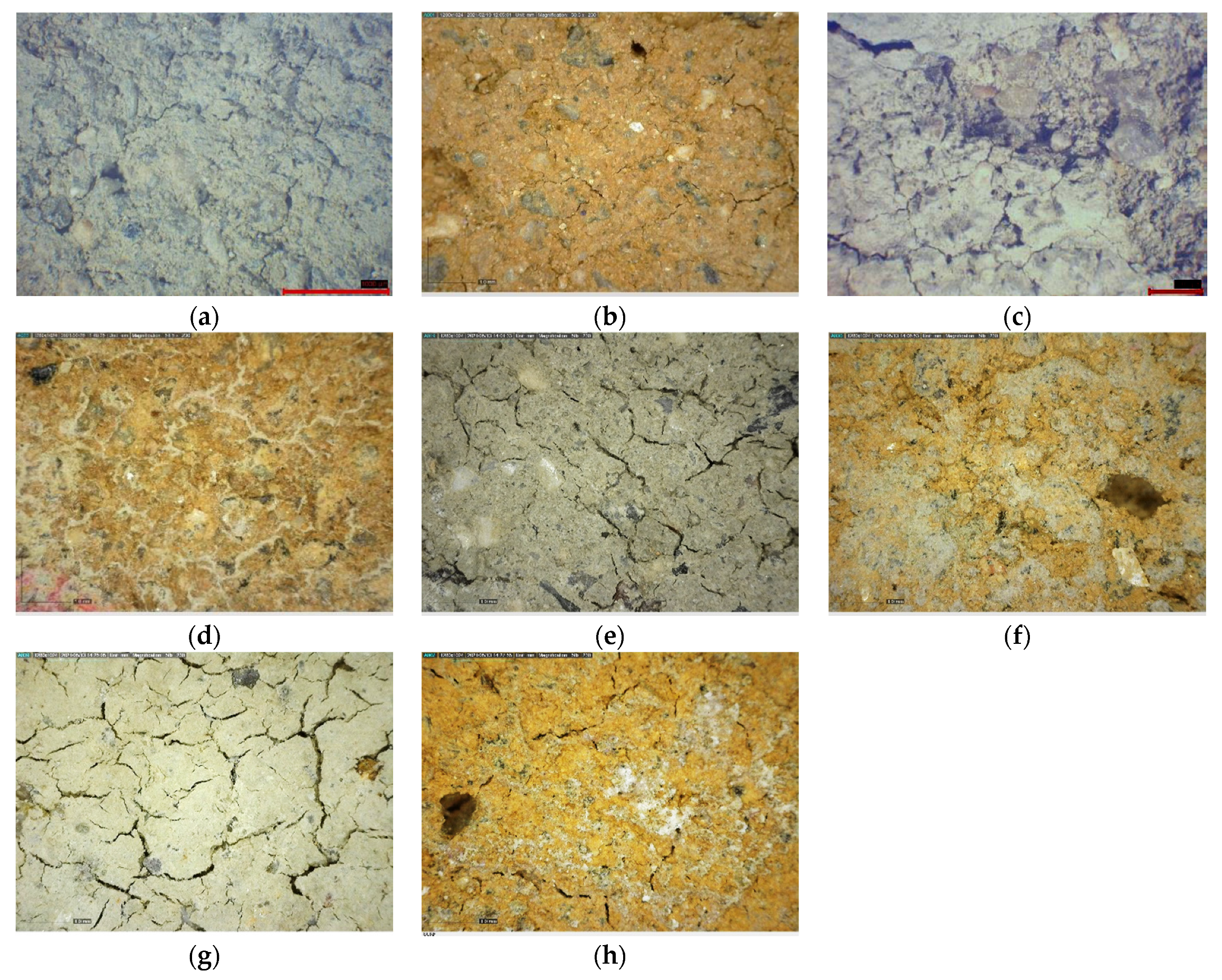 Minerals 14 01035 g009