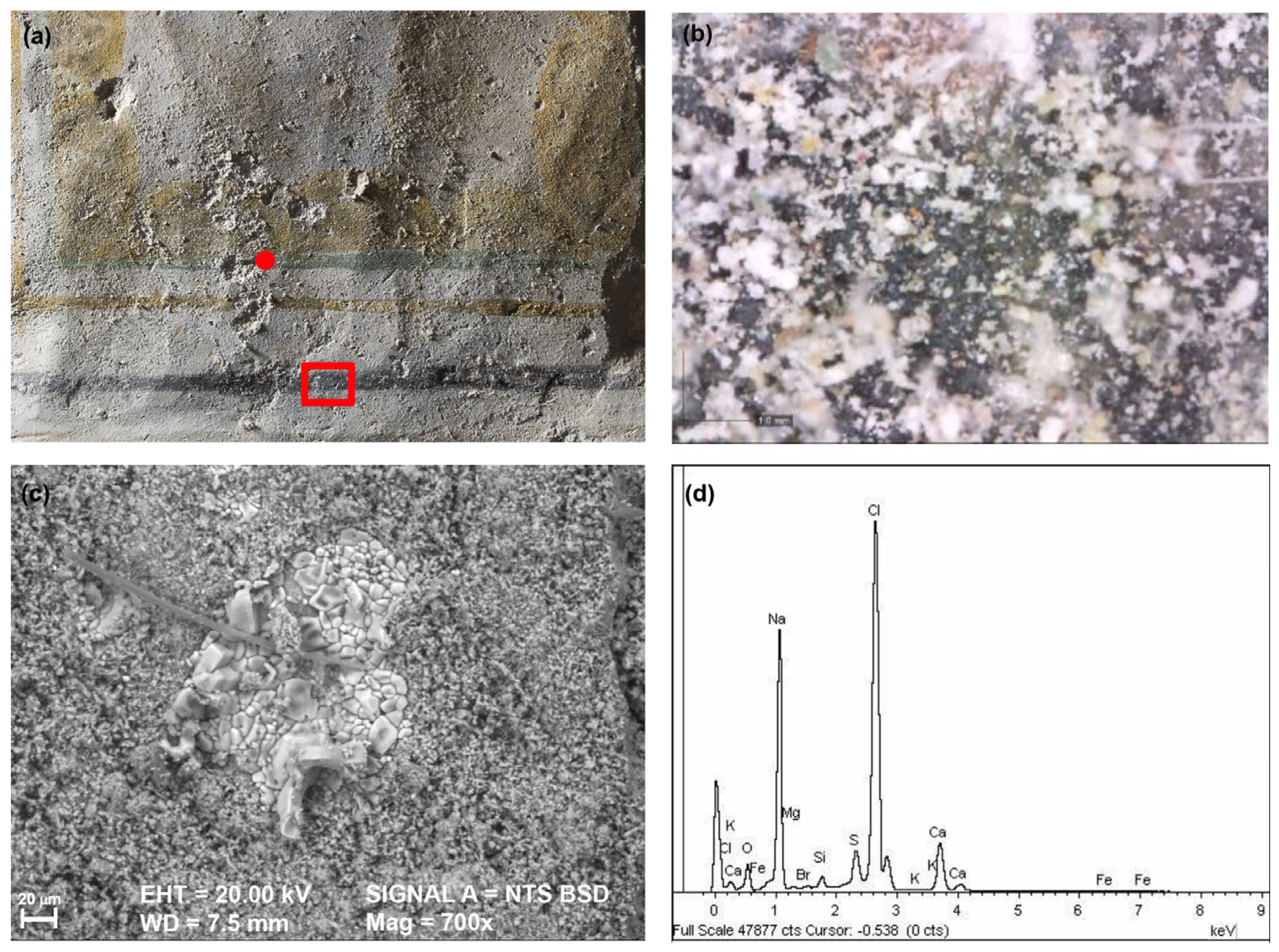 Minerals 14 01040 g002