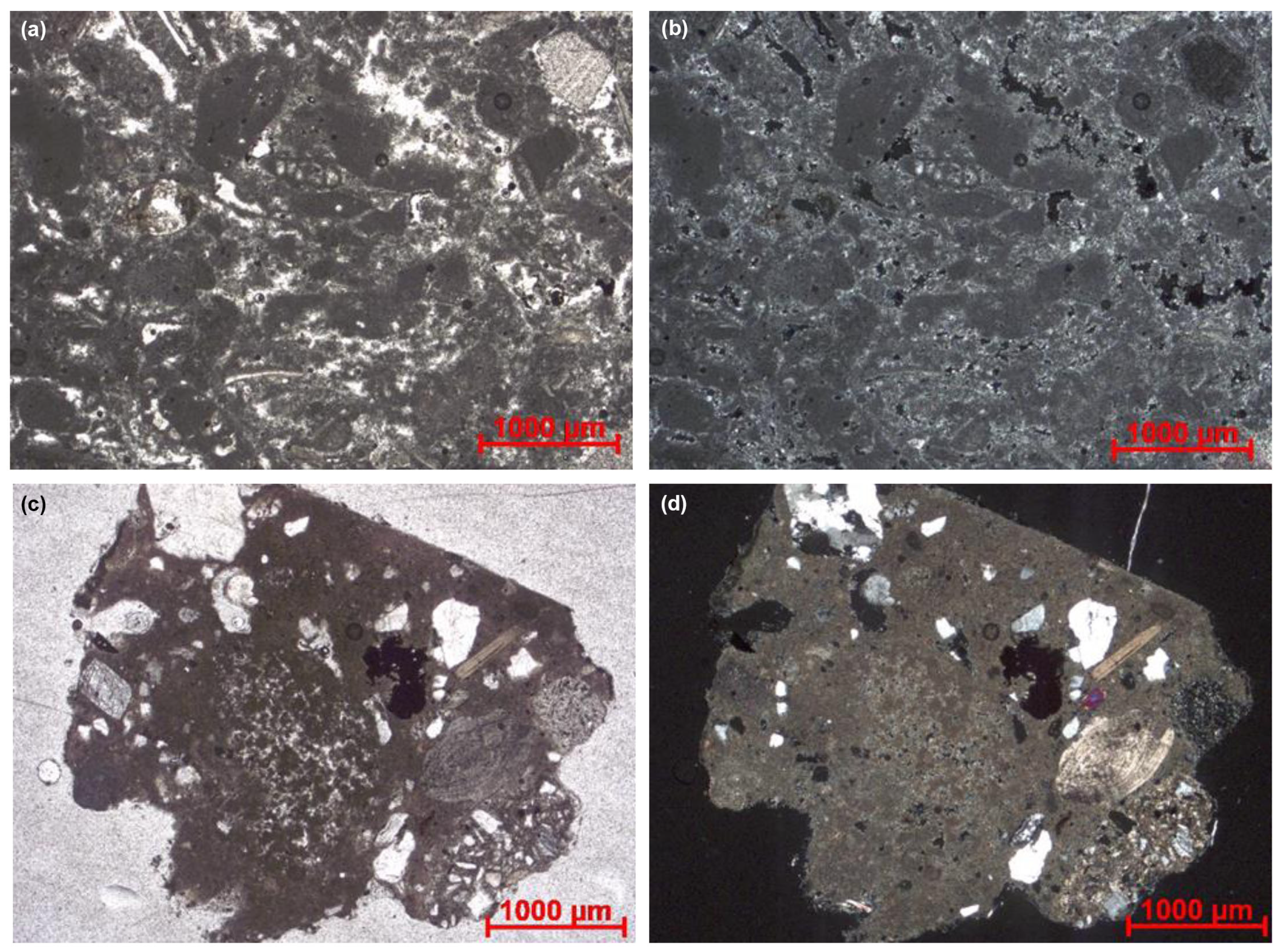 Minerals 14 01040 g005