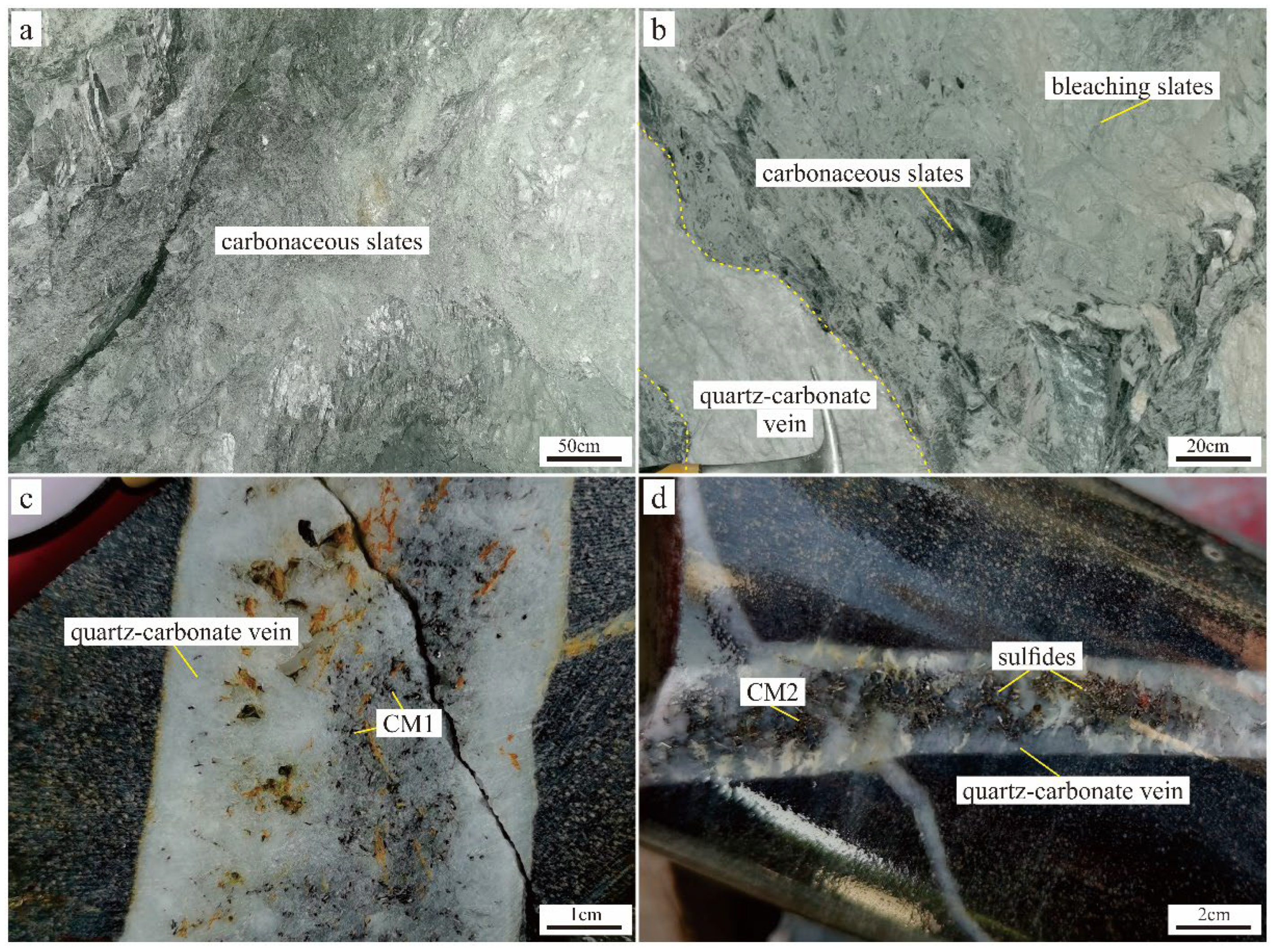 Minerals 14 01042 g003