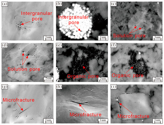 Mechanisms of Reservoir Space Preservation in Ultra-Deep Shales