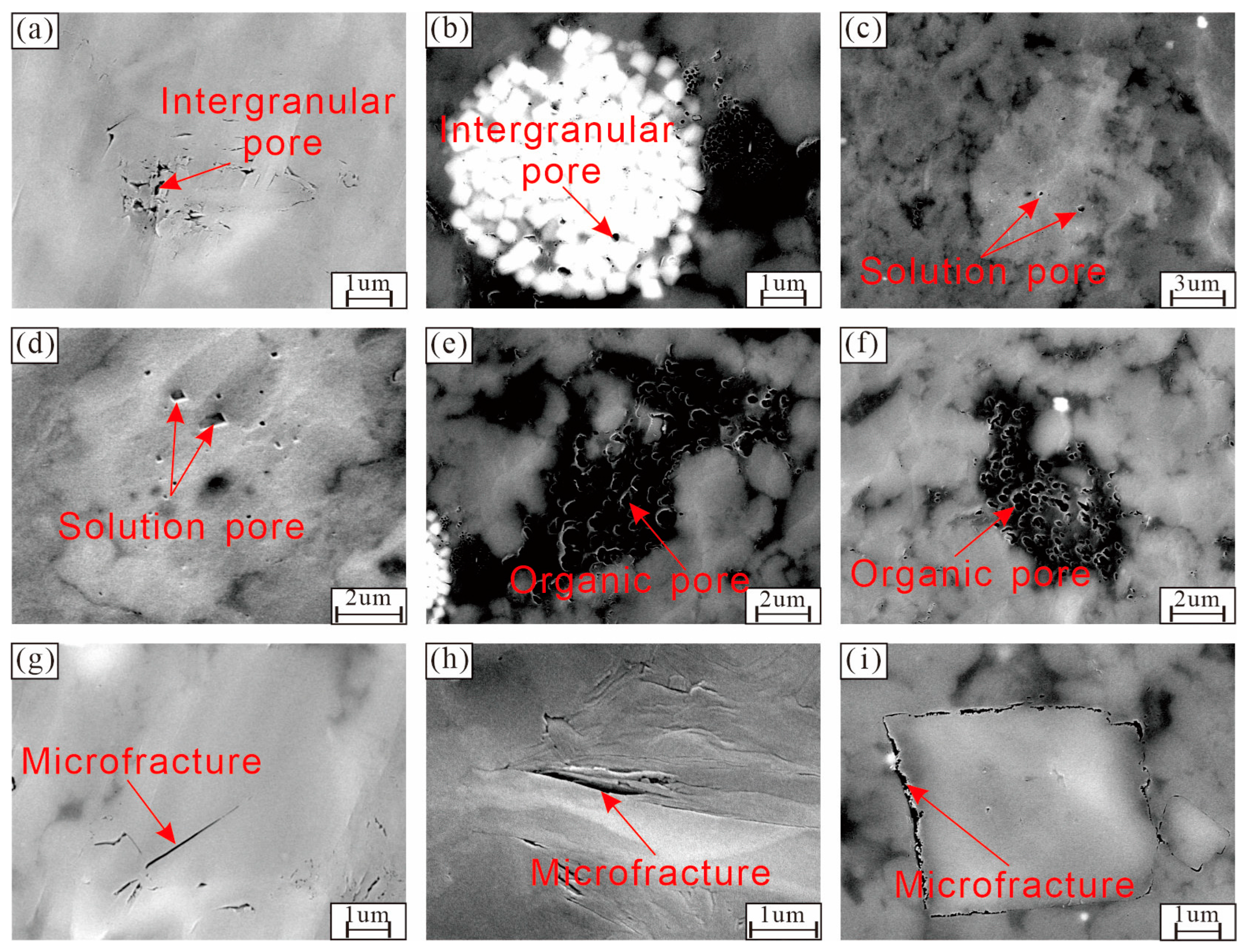 Minerals 14 01046 g004