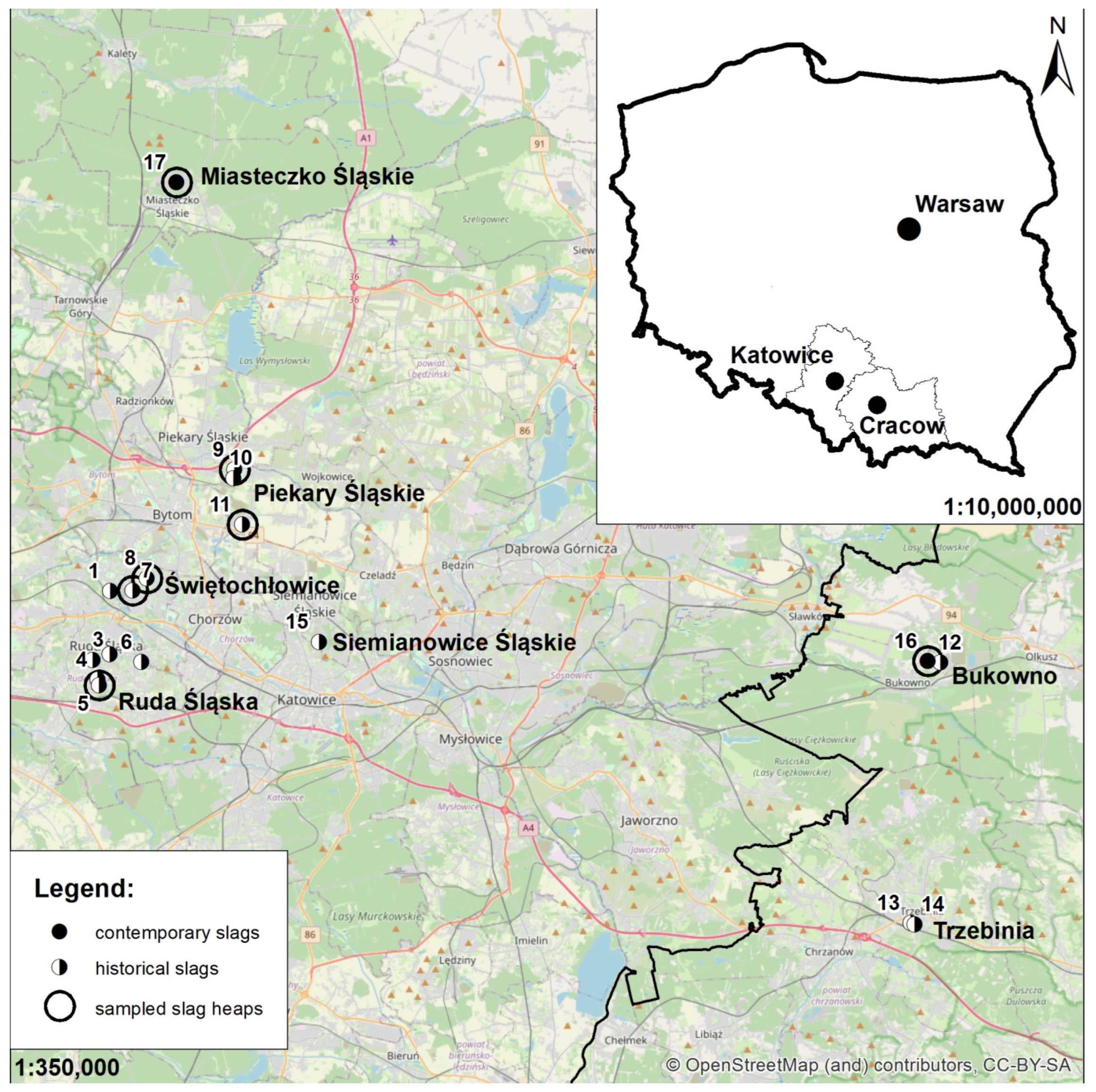 Minerals 14 01050 g001