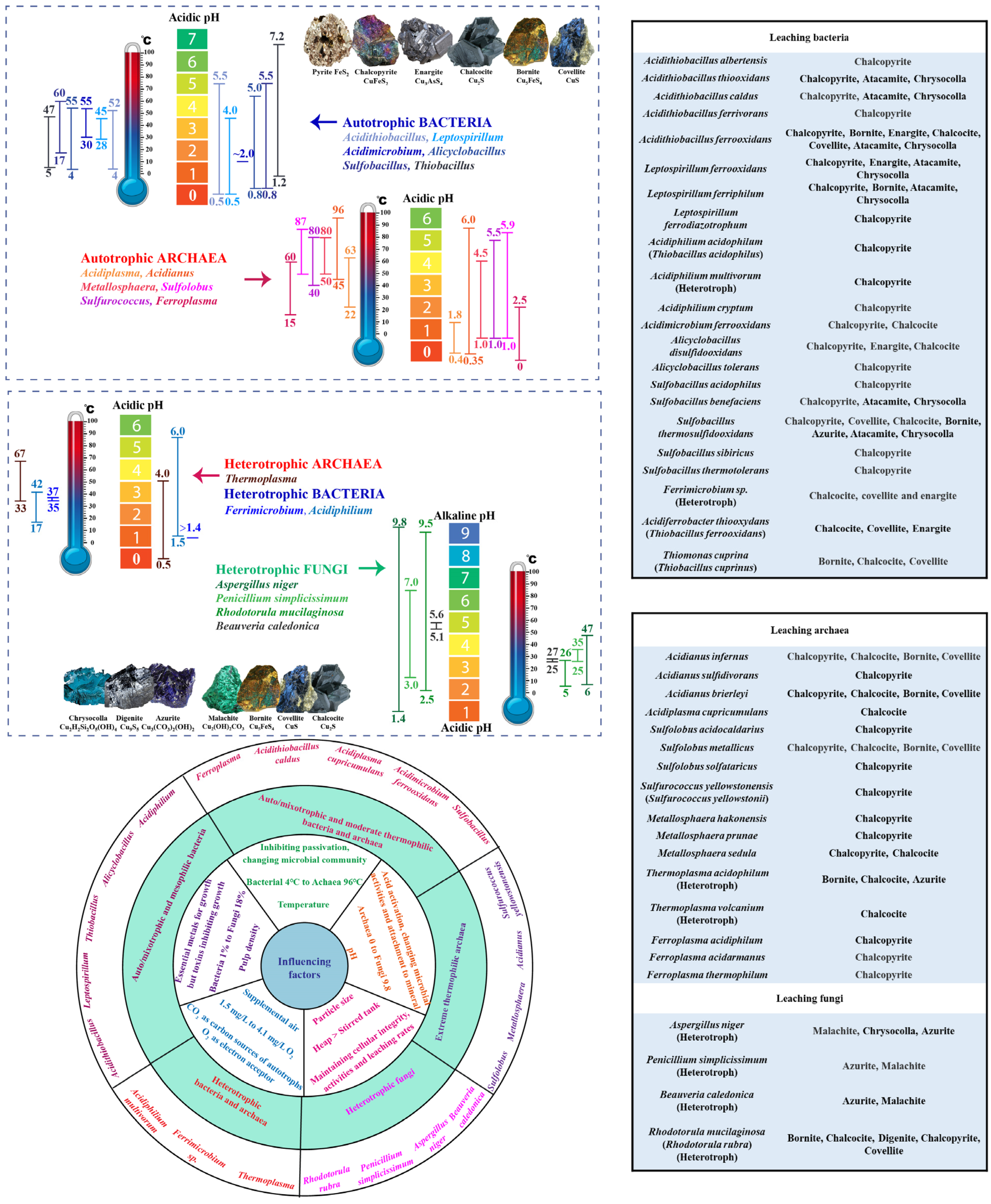 Minerals 14 01051 g003