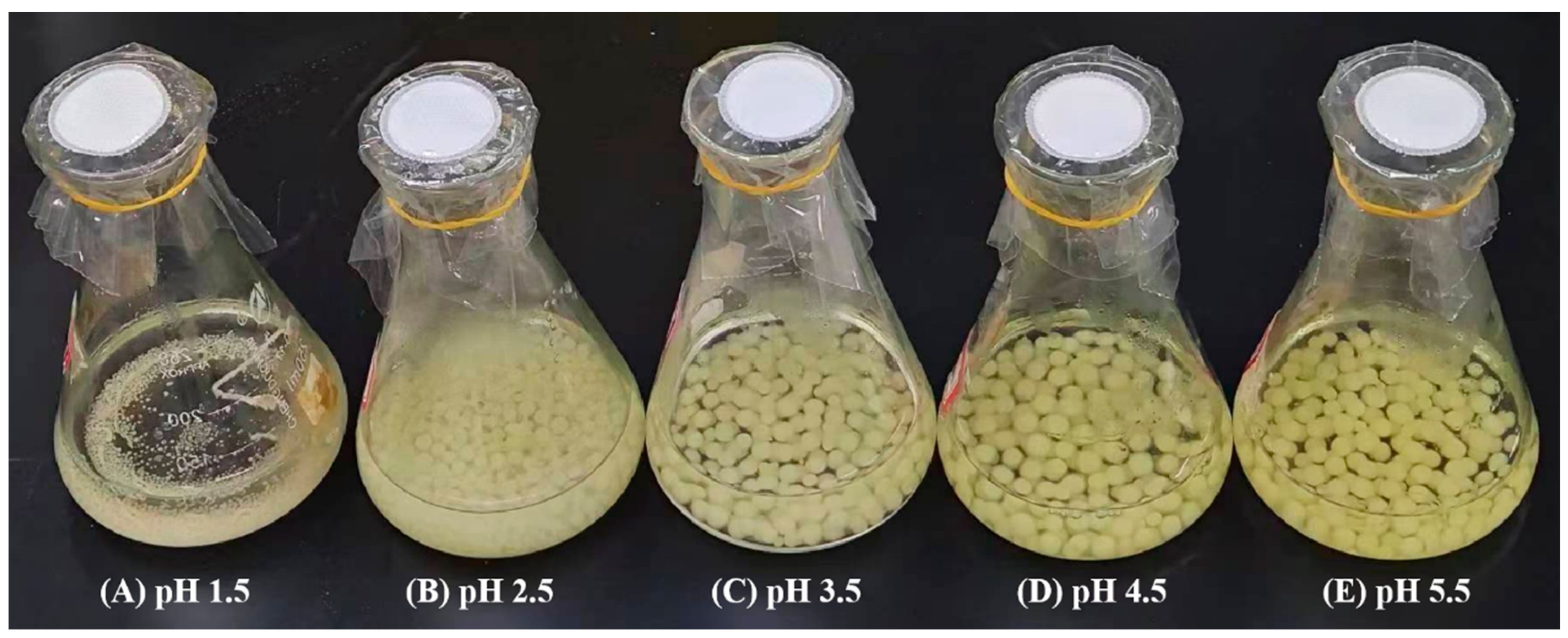 Minerals 14 01055 g004