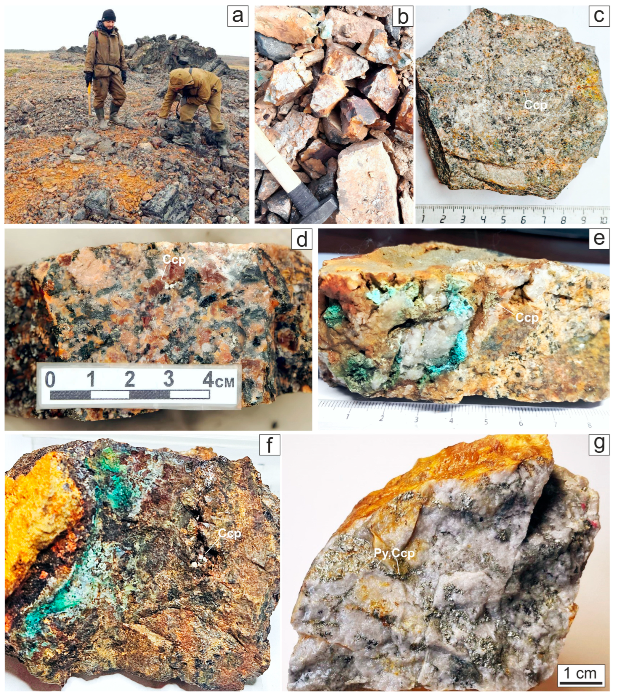 Minerals 14 01065 g003