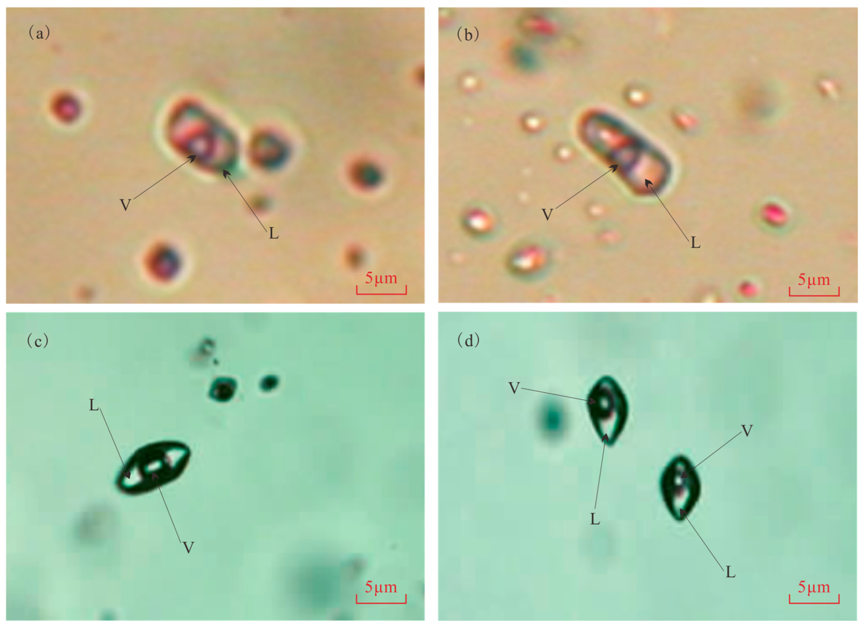 Minerals 14 01068 g004