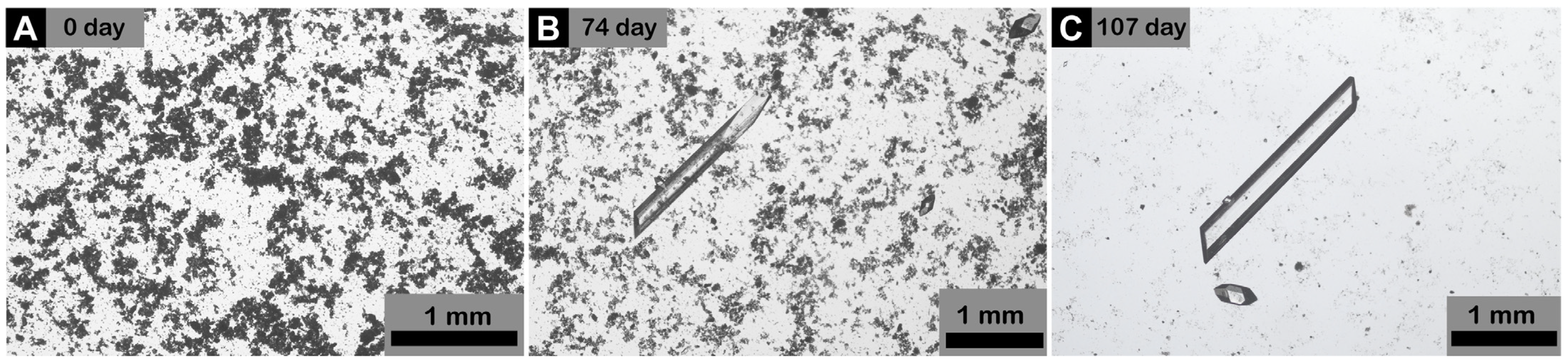 Minerals 14 01074 g001