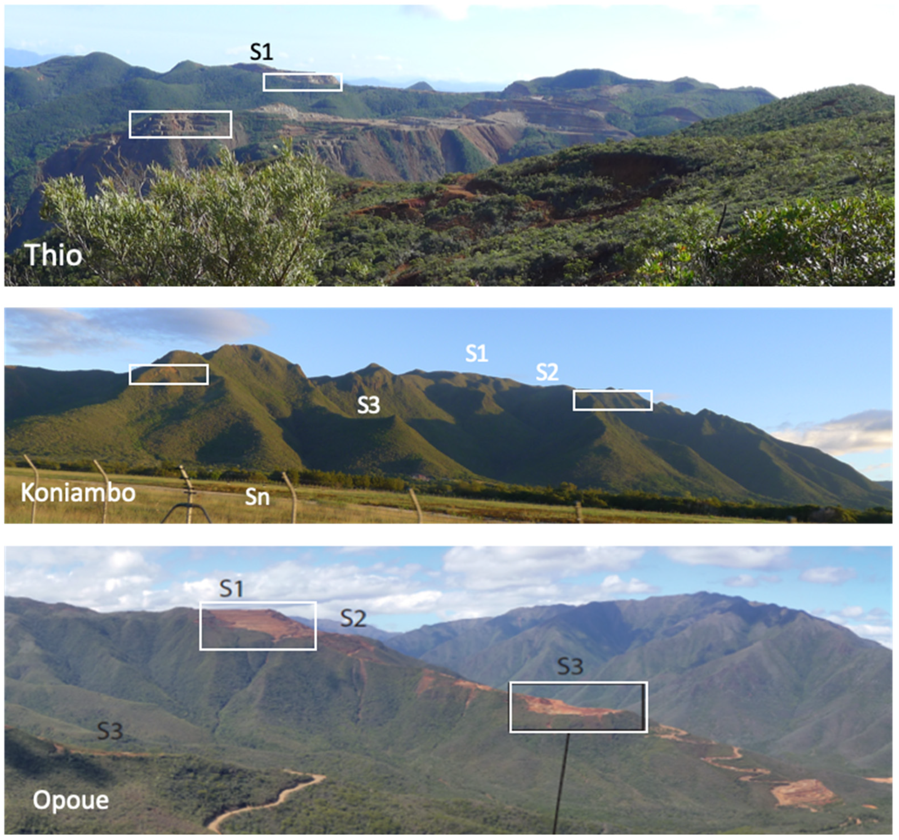 Minerals 14 01082 g003