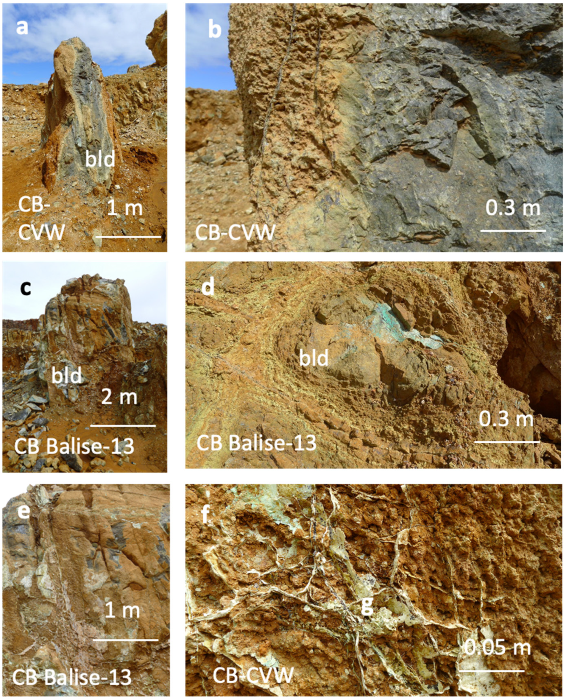 Minerals 14 01082 g007