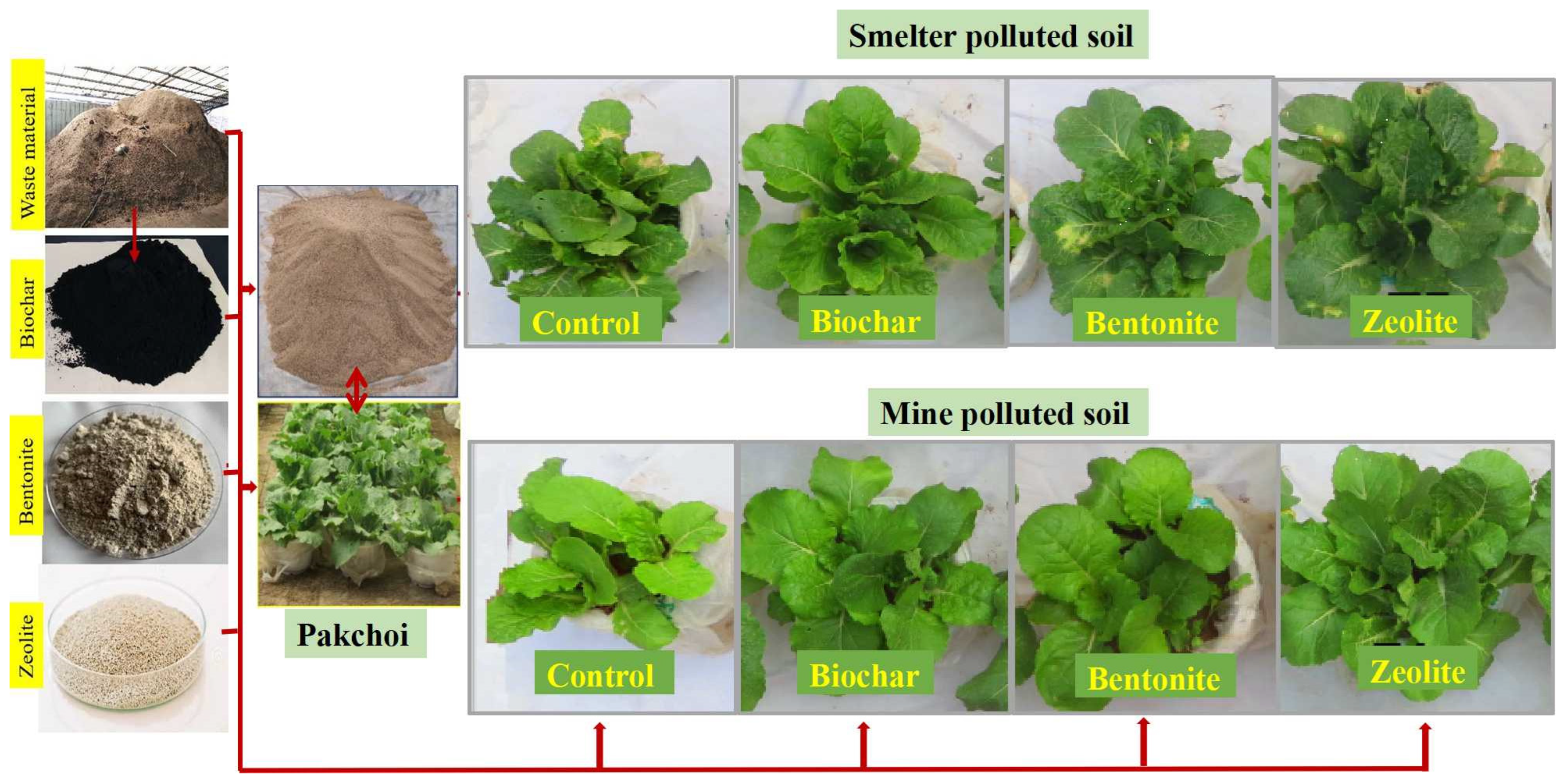 Minerals 14 01083 g001