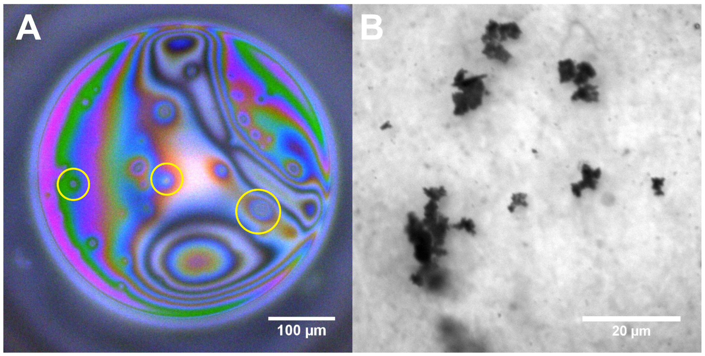 Minerals 14 01110 g011